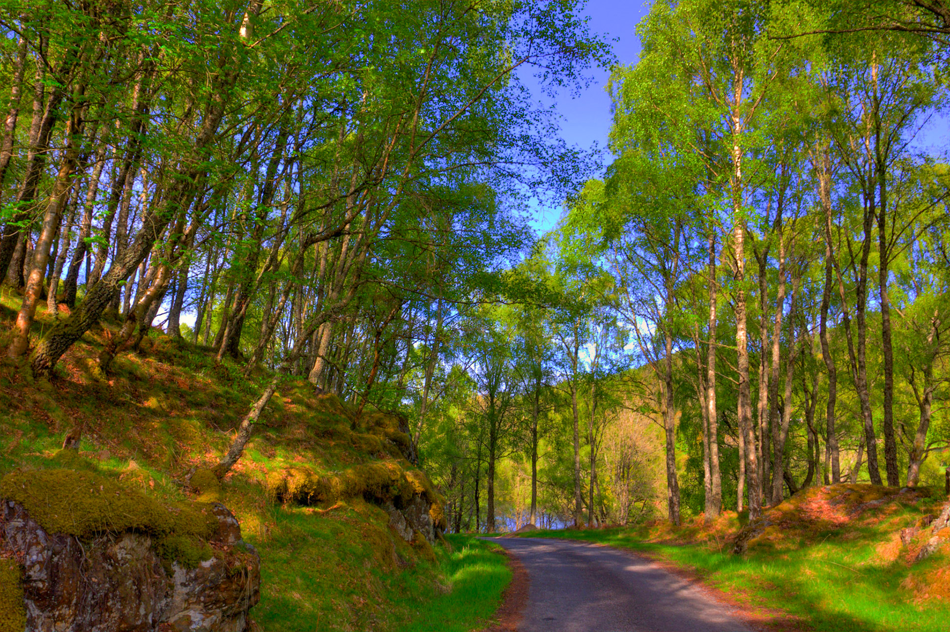 Road along the South shore of Loch Tummel 16 May 2026
