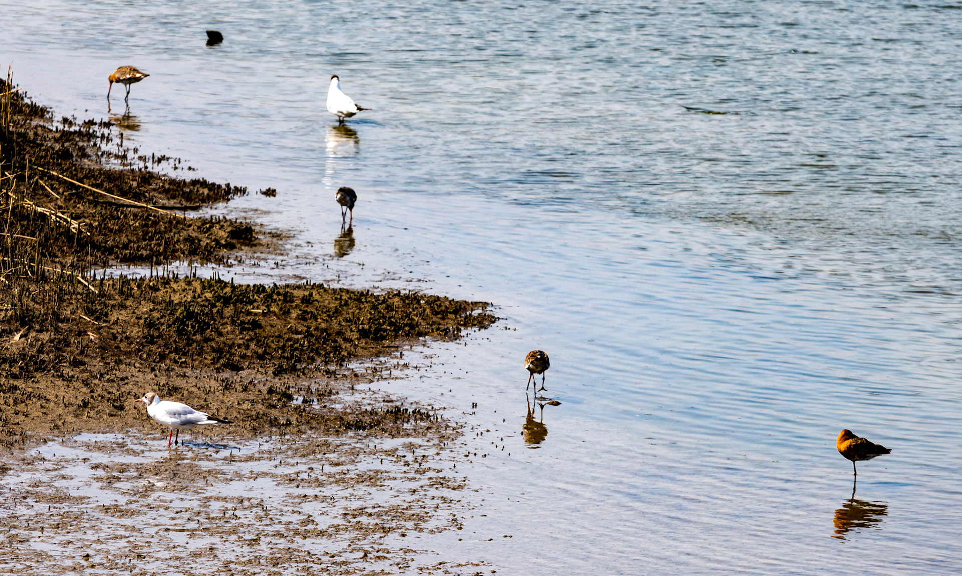 Titchfield Haven 20 July 2022