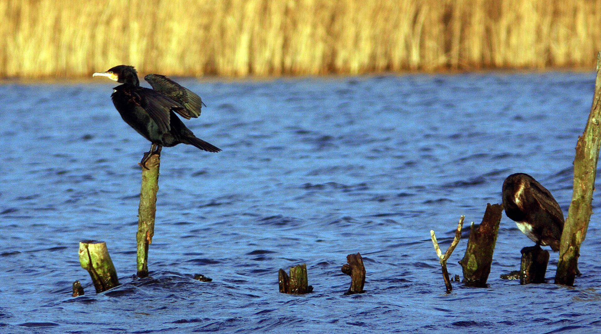 ElginPlease see my other Photographs at: http://www.jamespdeans.co.uk/