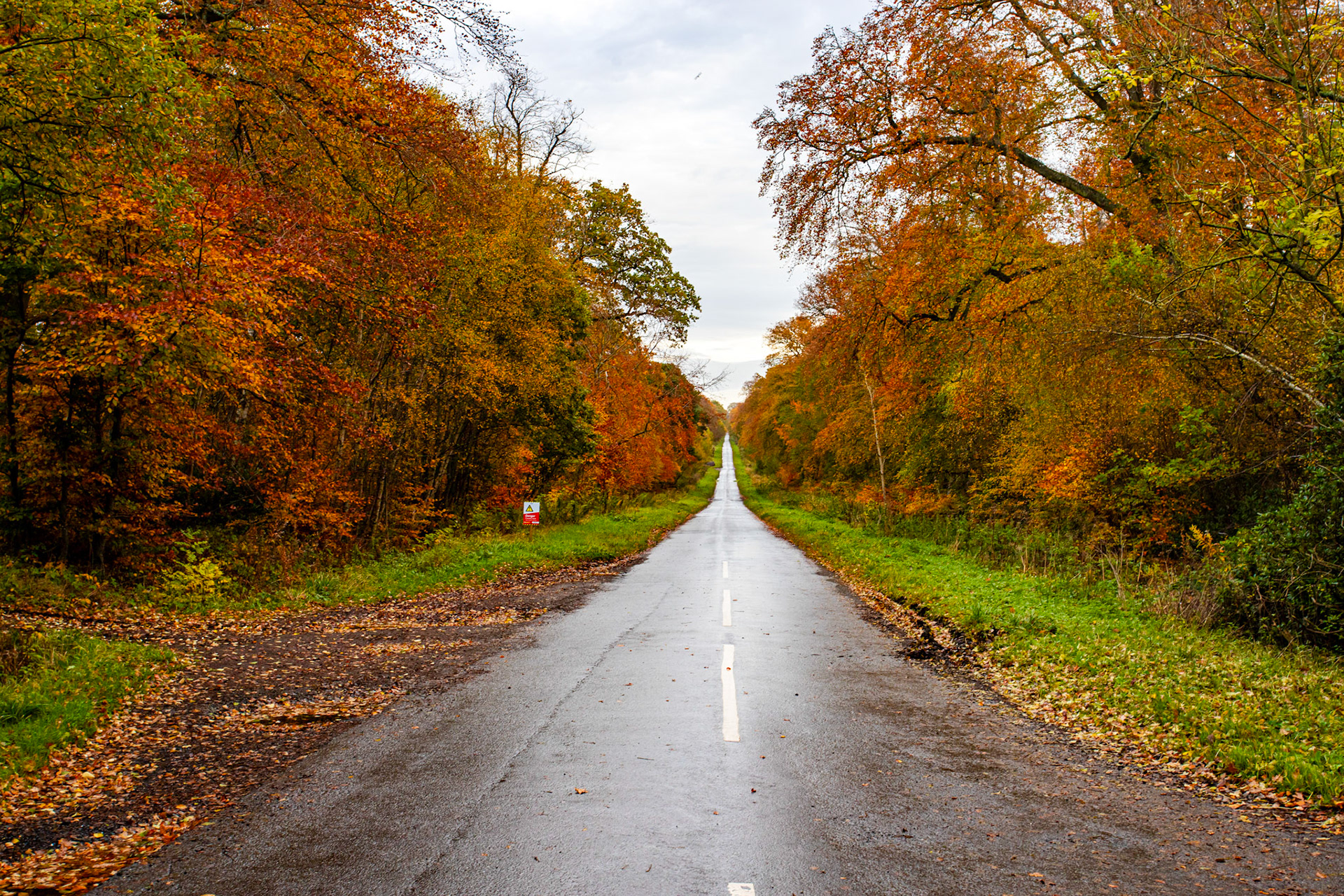 Near Smailholm 27 October 2022
