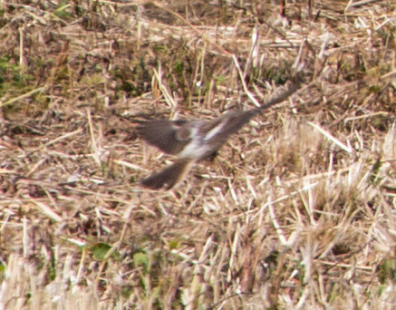 AlcudiaPlease see my other Photographs at: www.jamespdeans.co.uk