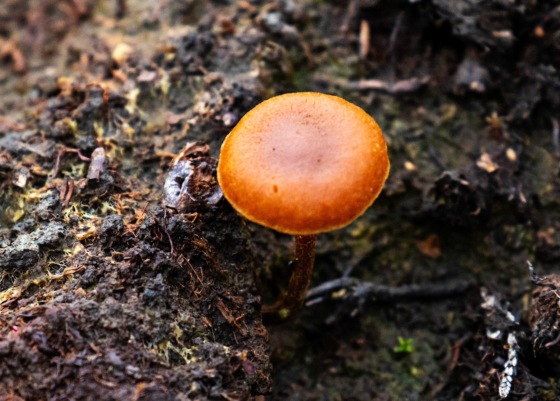 Bavelaw 24 Sept 2025