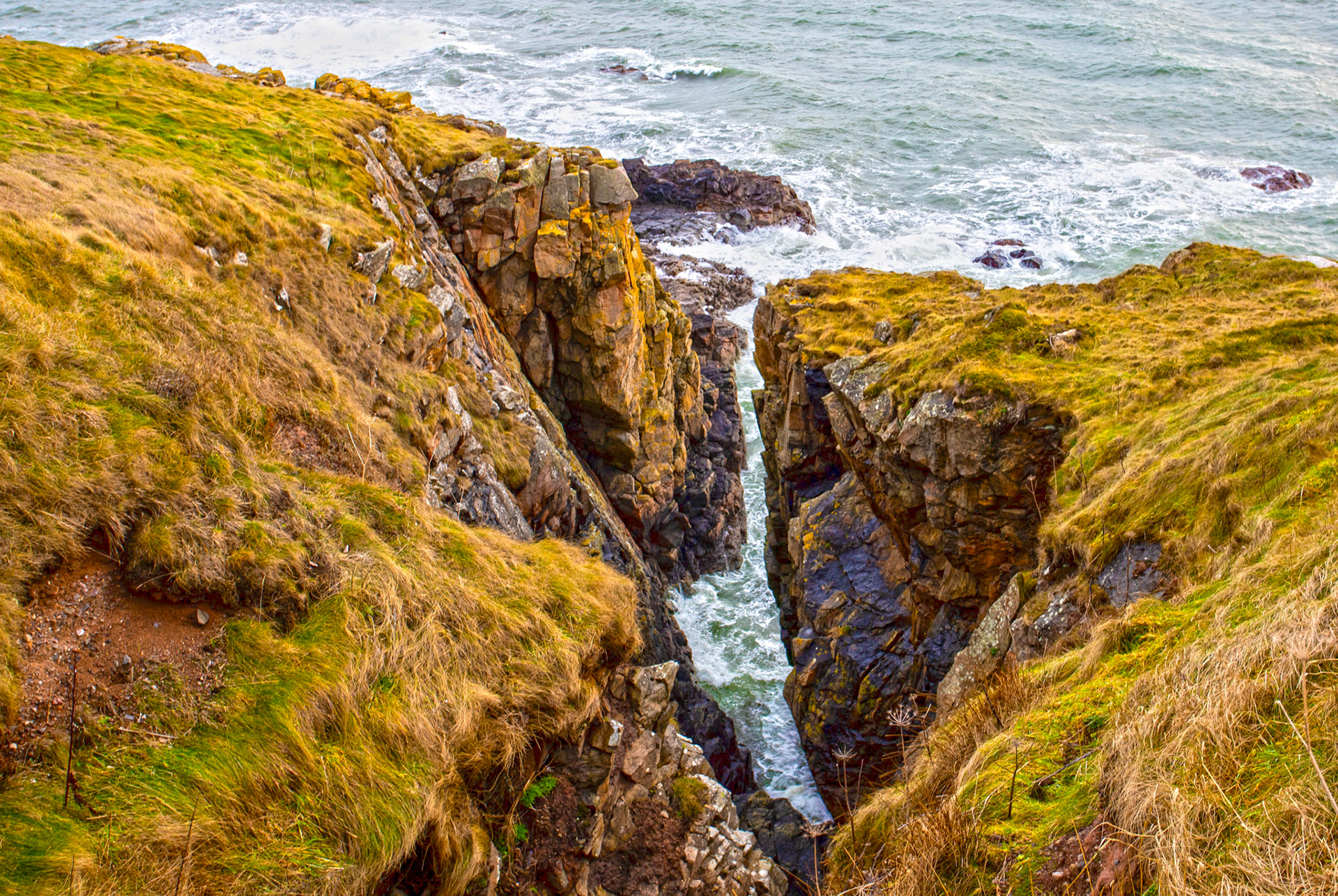 Walk Cove to Aberdeen 27 January 2024