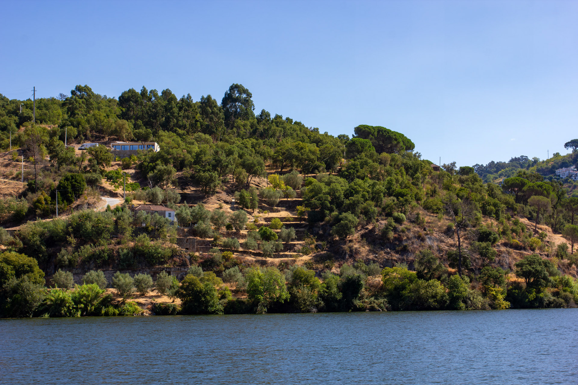 Douro cruise 21 August 2026