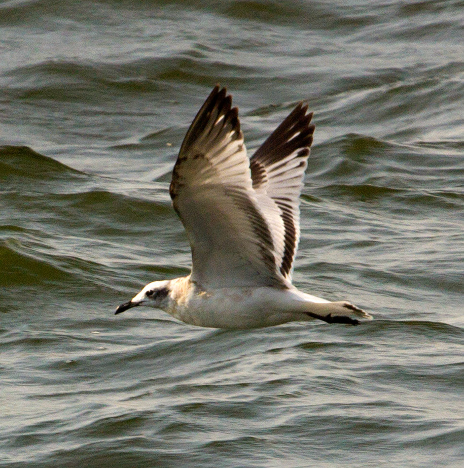 IzmirPlease see my other Photographs at: http://www.jamespdeans.co.uk/