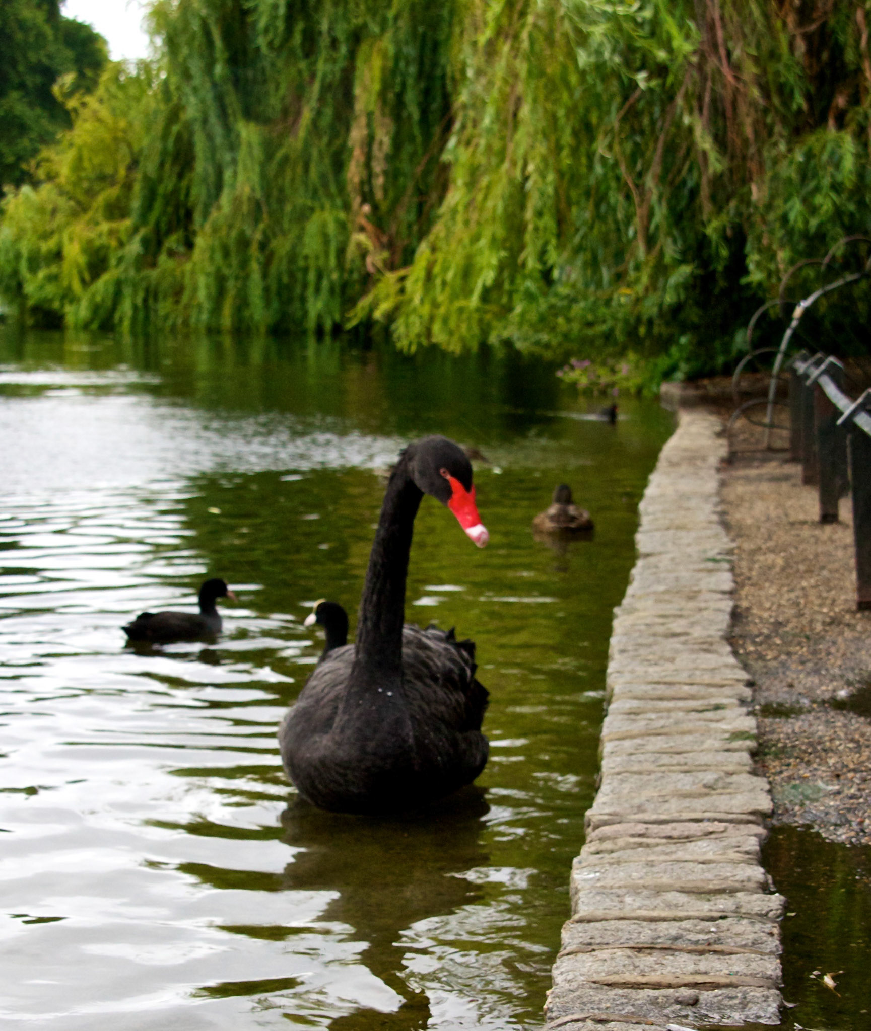 LondonPlease see my other Photographs at: http://www.jamespdeans.co.uk/