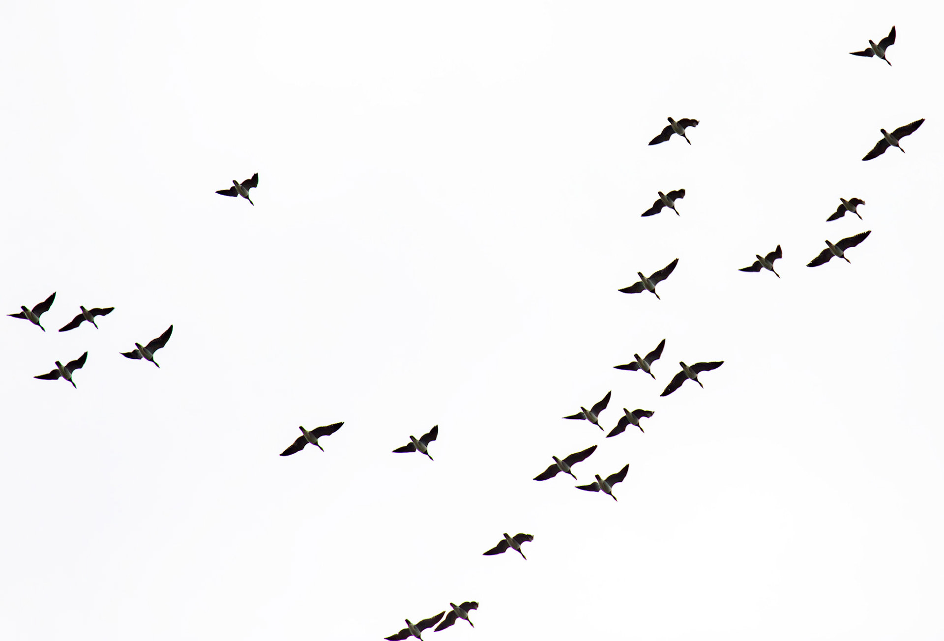 Bavelaw 24 Sept 2025