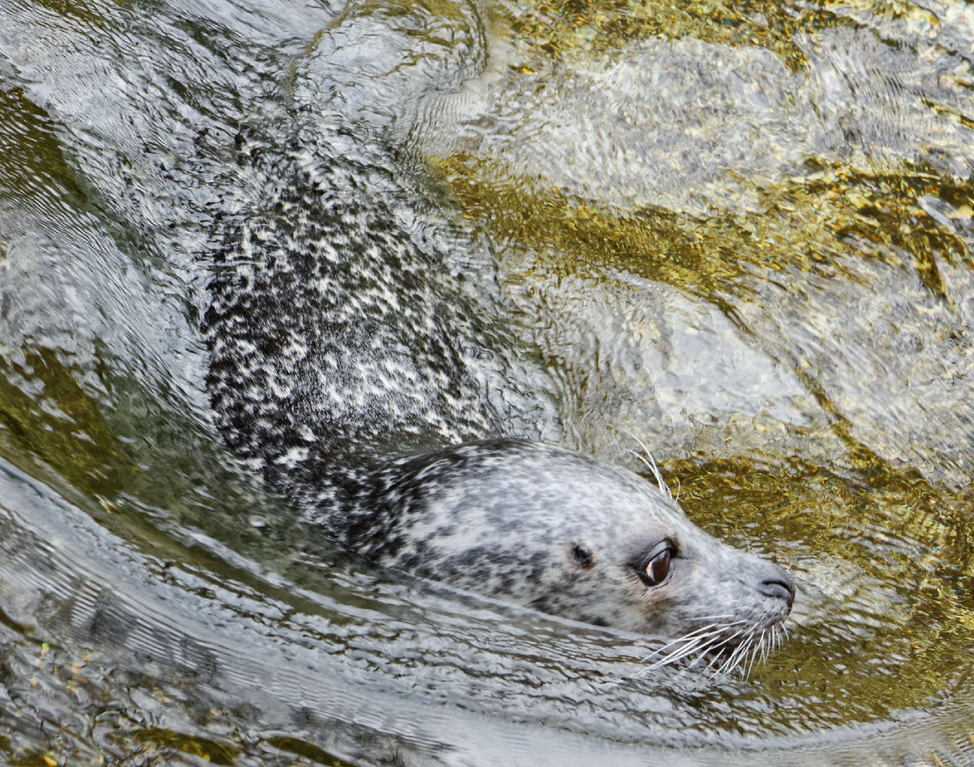 AntwerpPlease see my other Photographs at: http://www.jamespdeans.co.uk/