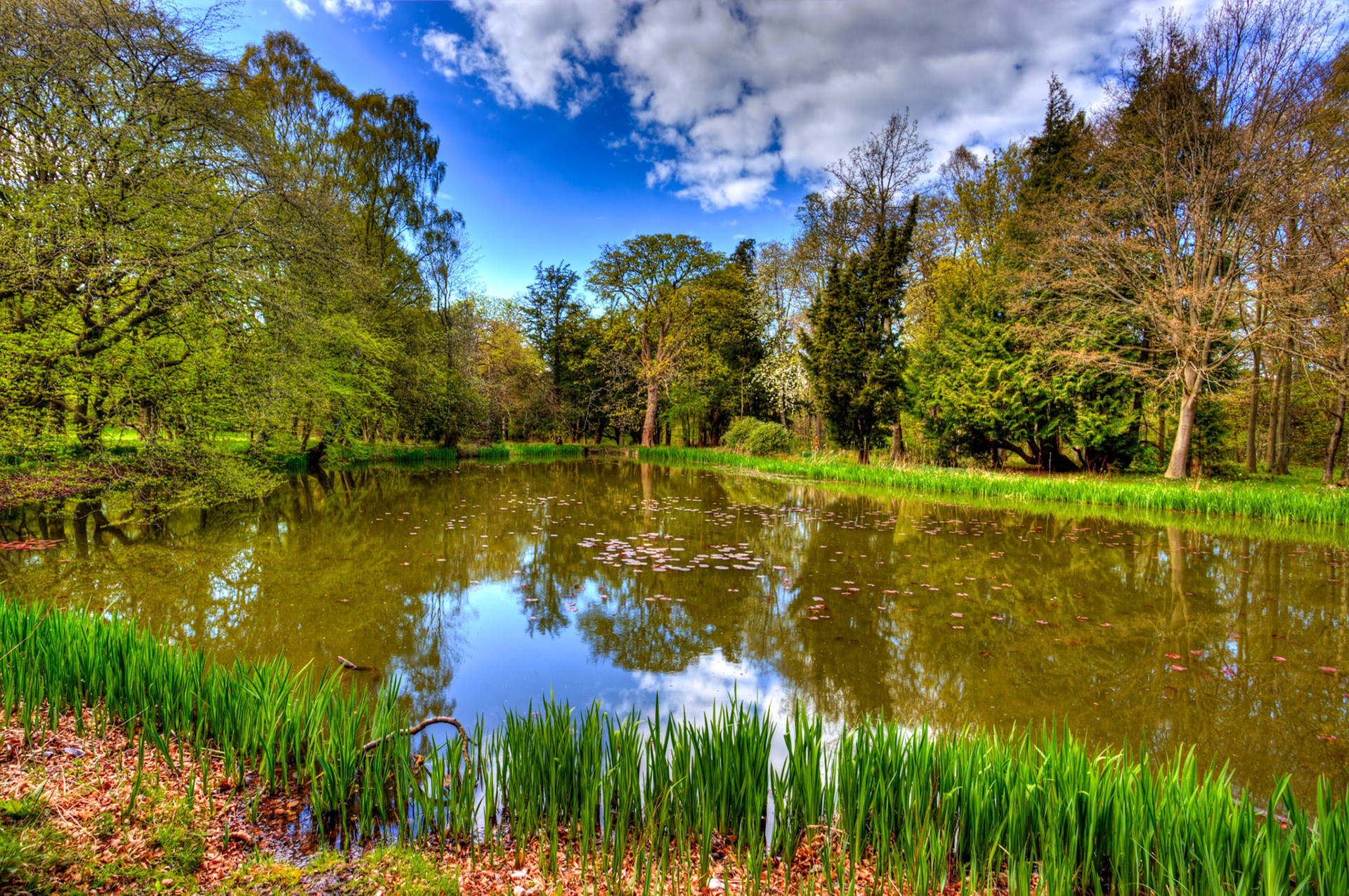 Gosford Estate 27 April 2024