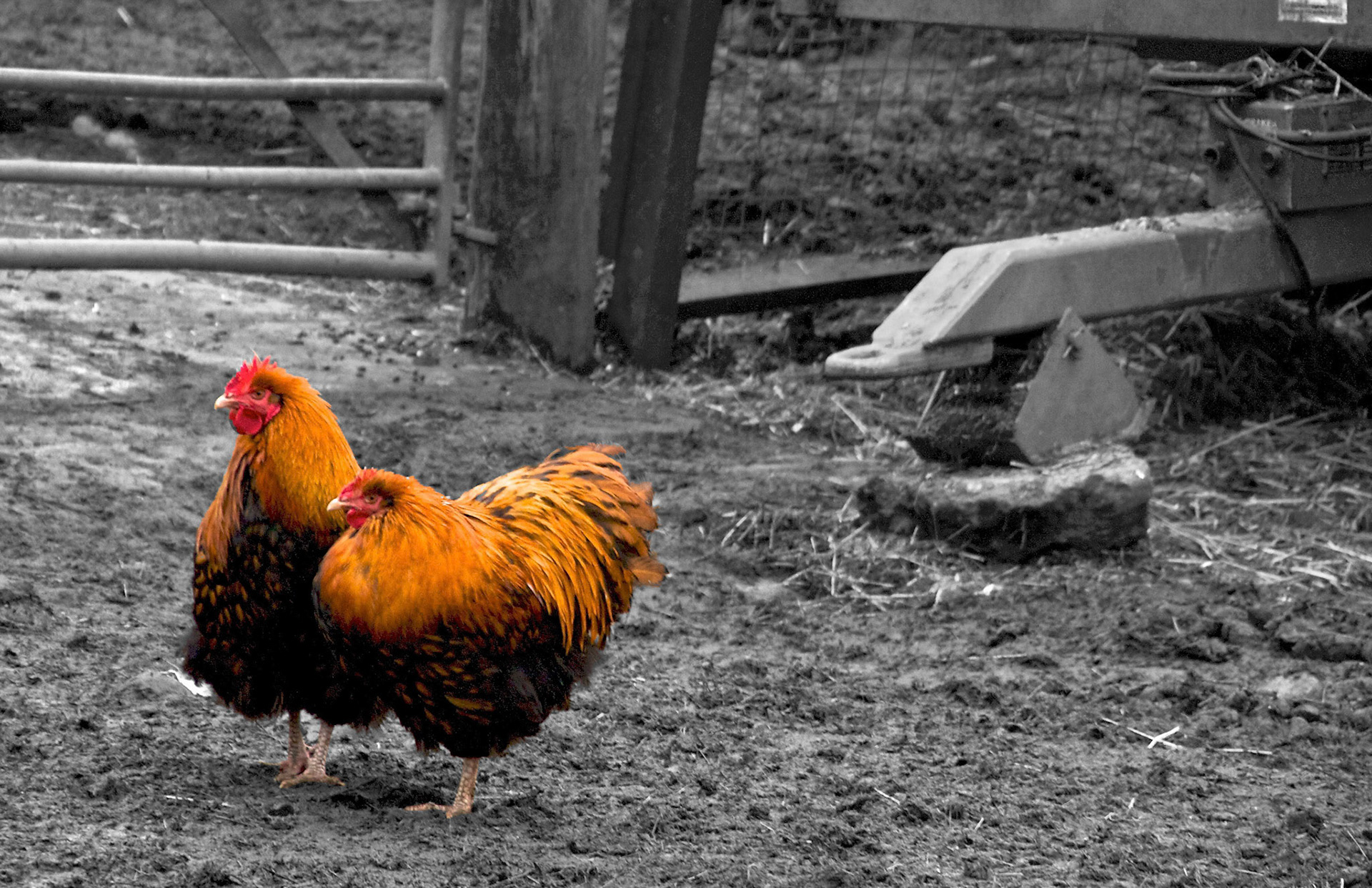 Almond Valley Heritage Centre Please see my other Photographs at: http://www.jamespdeans.co.uk/