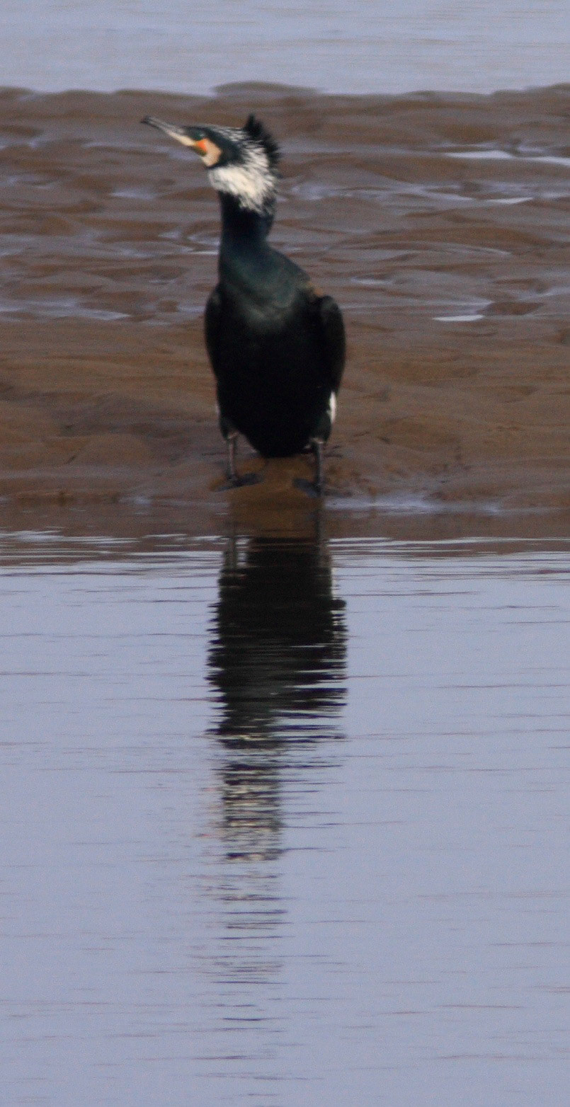 YthanPlease see my other Photographs at: http://www.jamespdeans.co.uk/