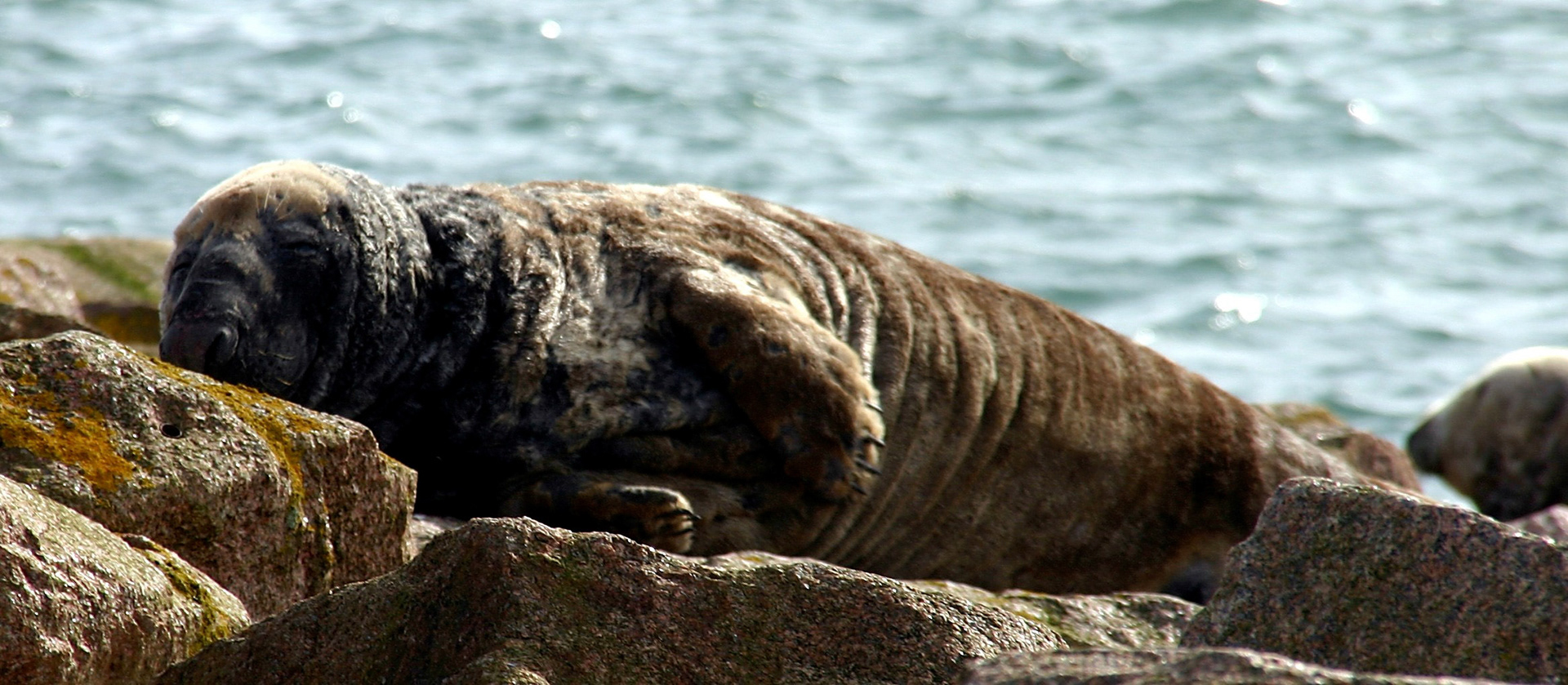 PeterheadPlease see my other Photographs at: http://www.jamespdeans.co.uk/