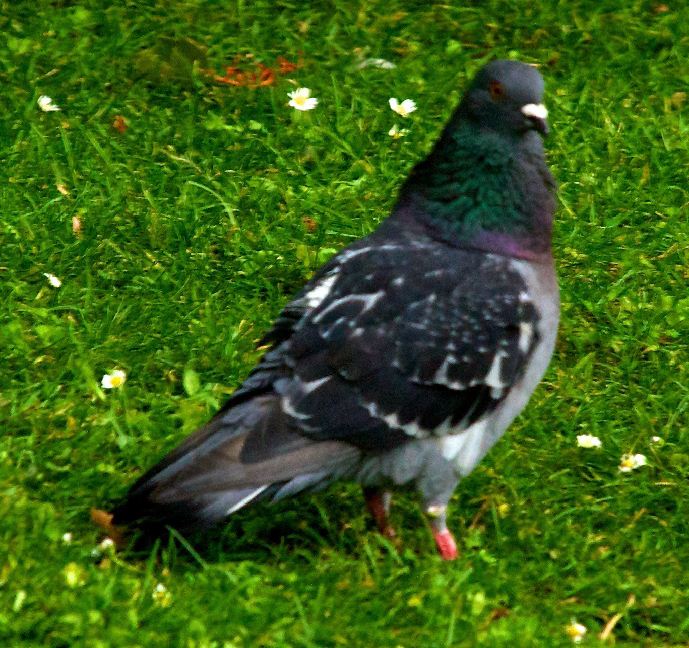 LondonPlease see my other Photographs at: http://www.jamespdeans.co.uk/