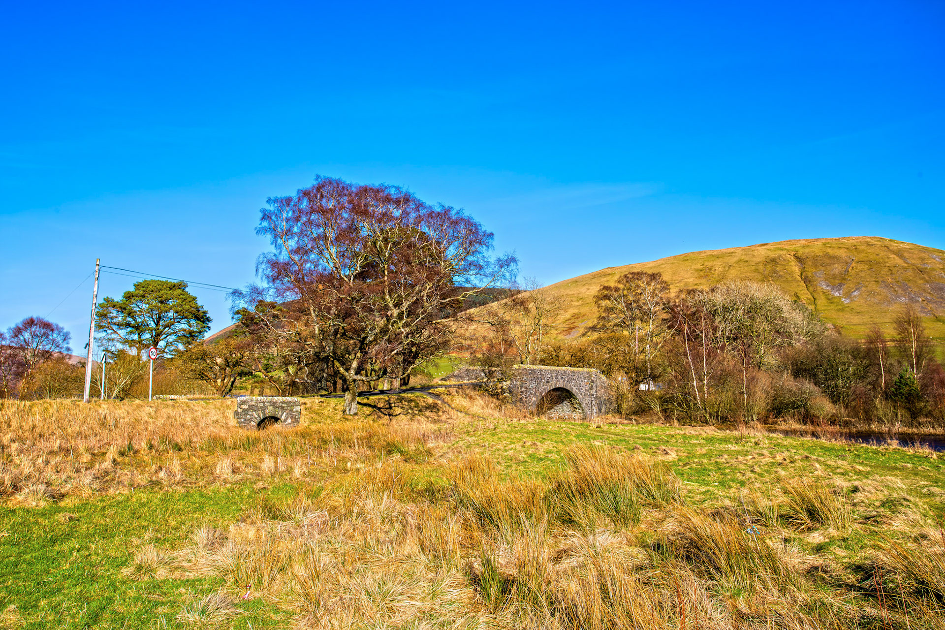 Loch of the Lowes at Tibbie Shiels Inn 07 March 2026
