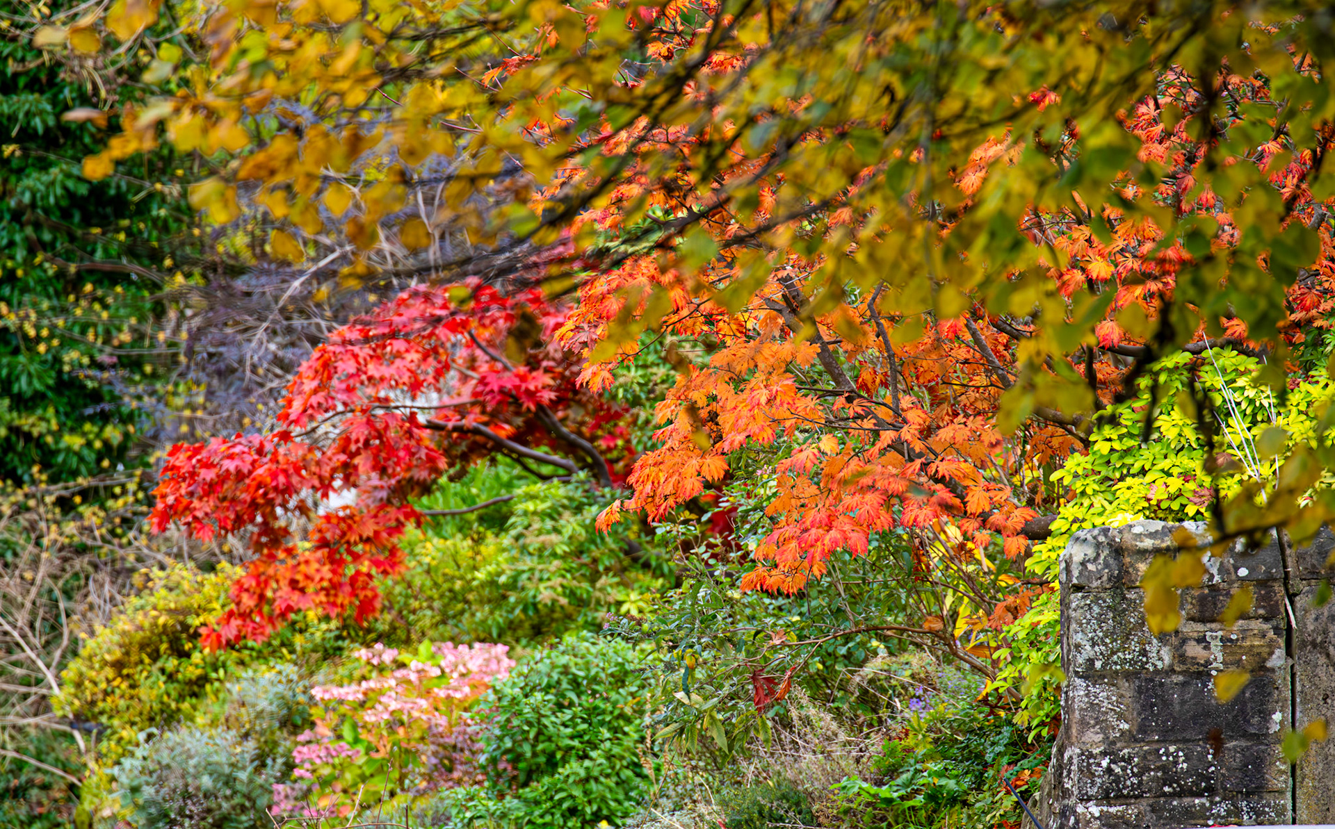 Cramond 18 October 2024