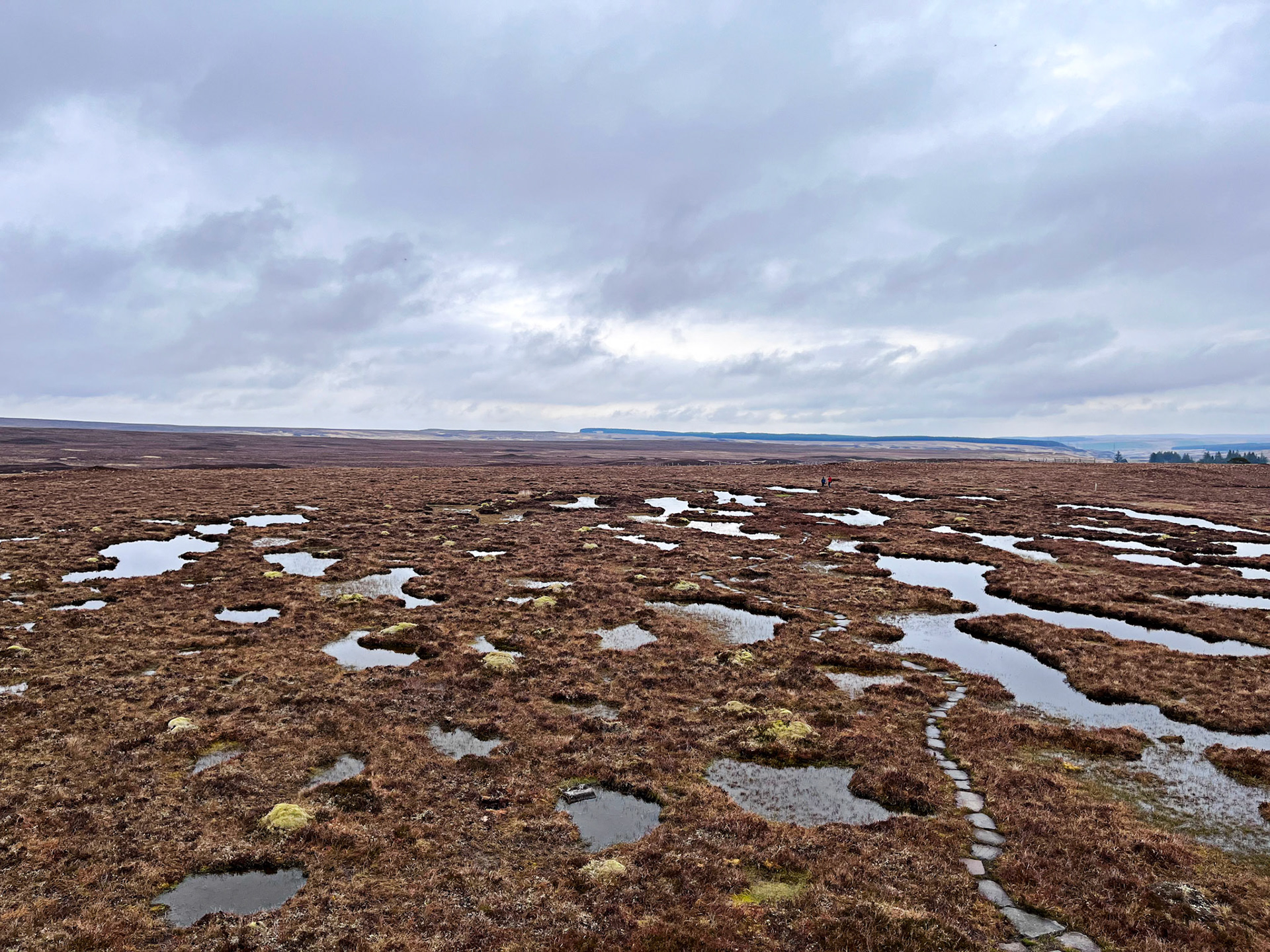 Forsinard 05 May 2024