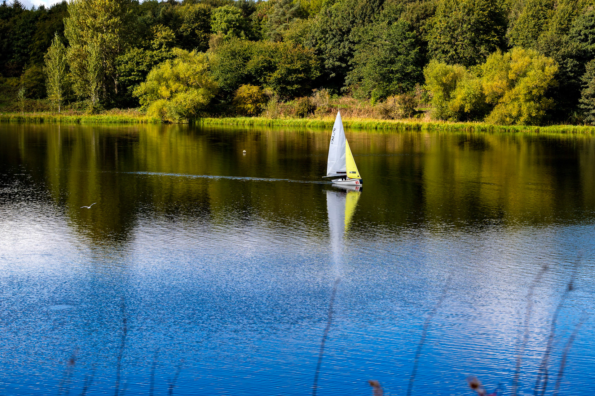 Sailing on Linlithgow Loch, with Reflections - 24 September 2022
