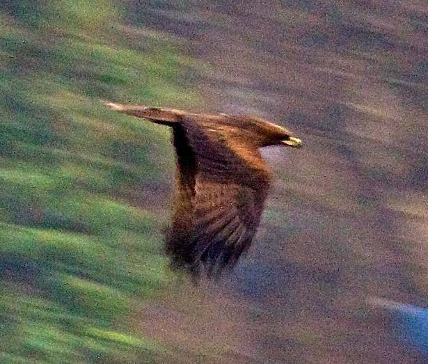 BangladeshPlease see my other Photographs at: http://www.jamespdeans.co.uk/