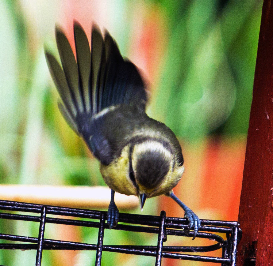 Deans, LivingstonPlease see my other Photographs at: http://www.jamespdeans.co.uk/