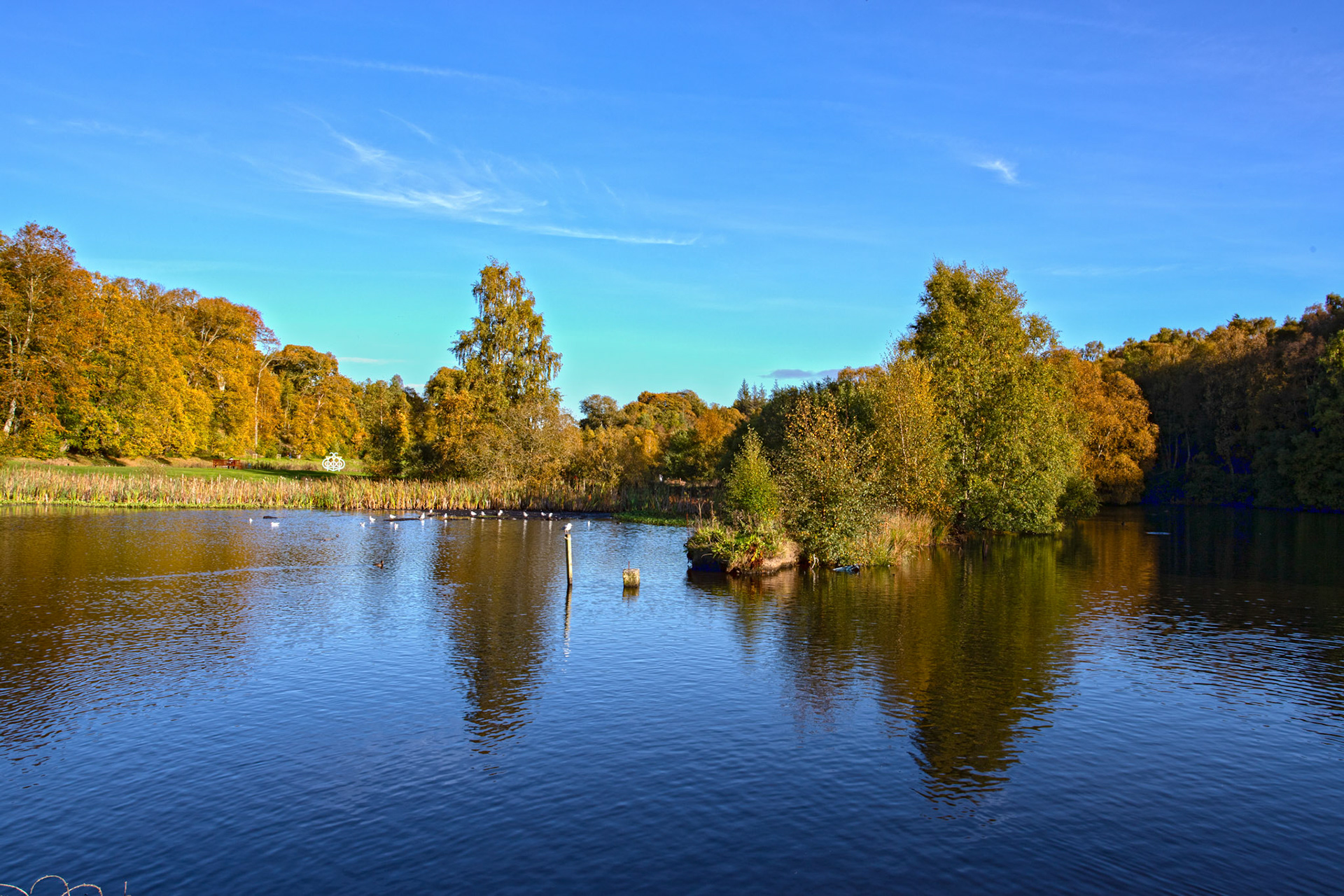 Callendar Park, Falkirk 11 October 2025