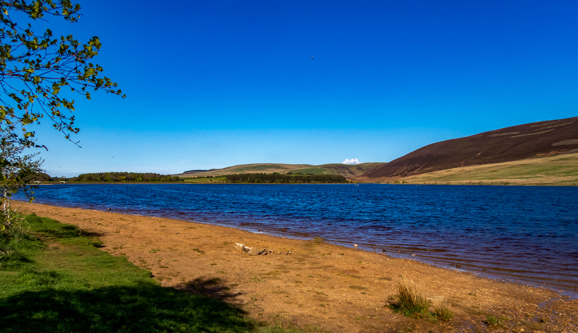 Threipmuir 11 May 2023 02027