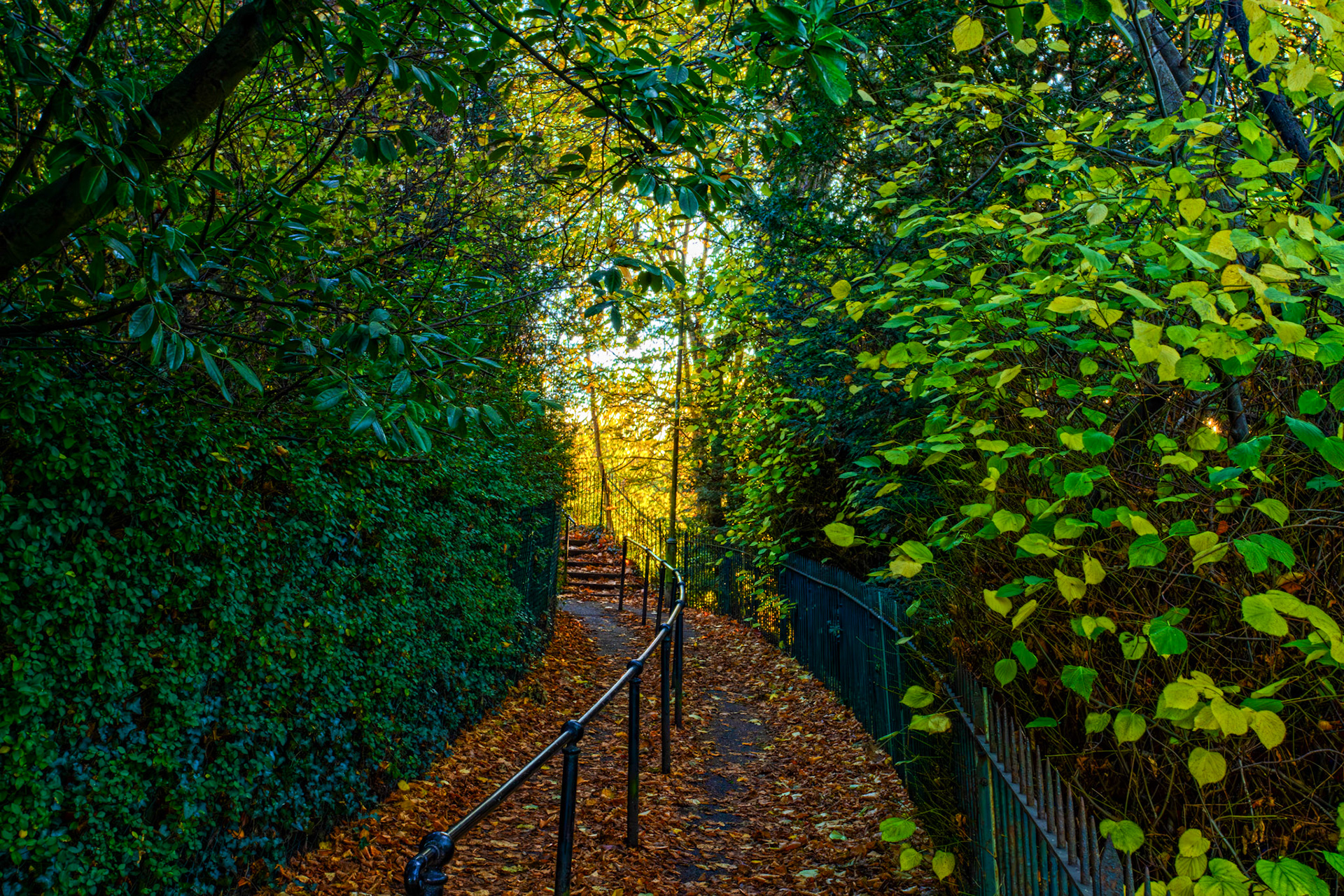 Colinton 27 October 2025