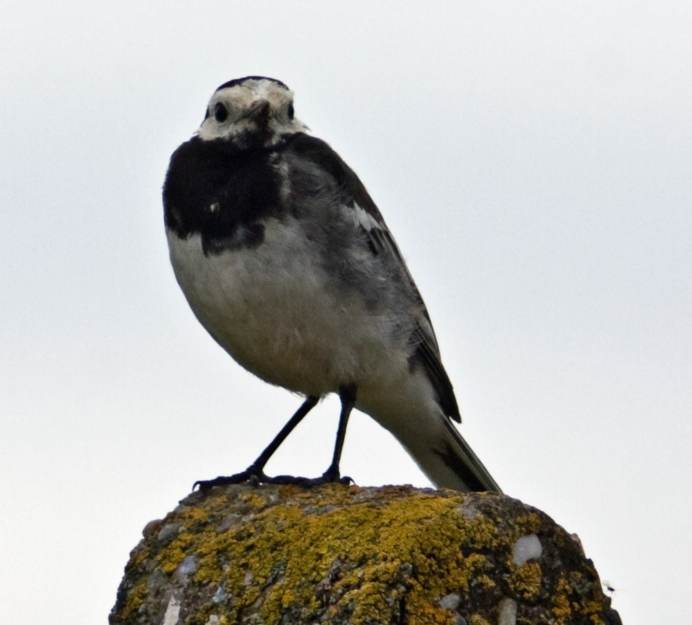 ArbroathPlease see my other Photographs at: http://www.jamespdeans.co.uk/