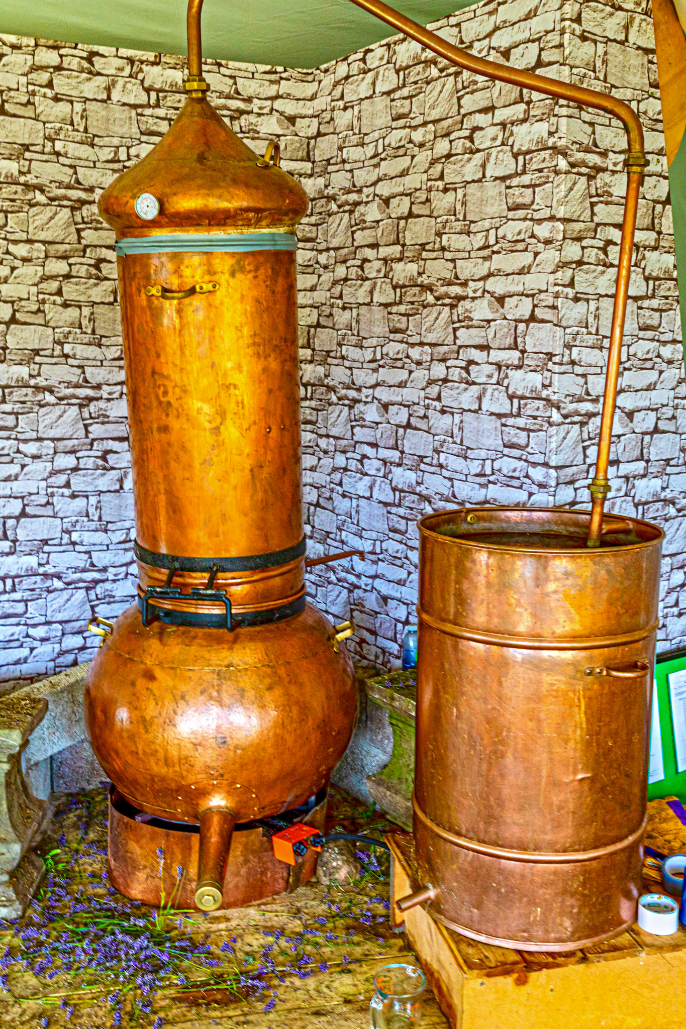 I spent an amazing few hours at Scottish Lavender Oils. They are so dedicated to nature and not to profit!