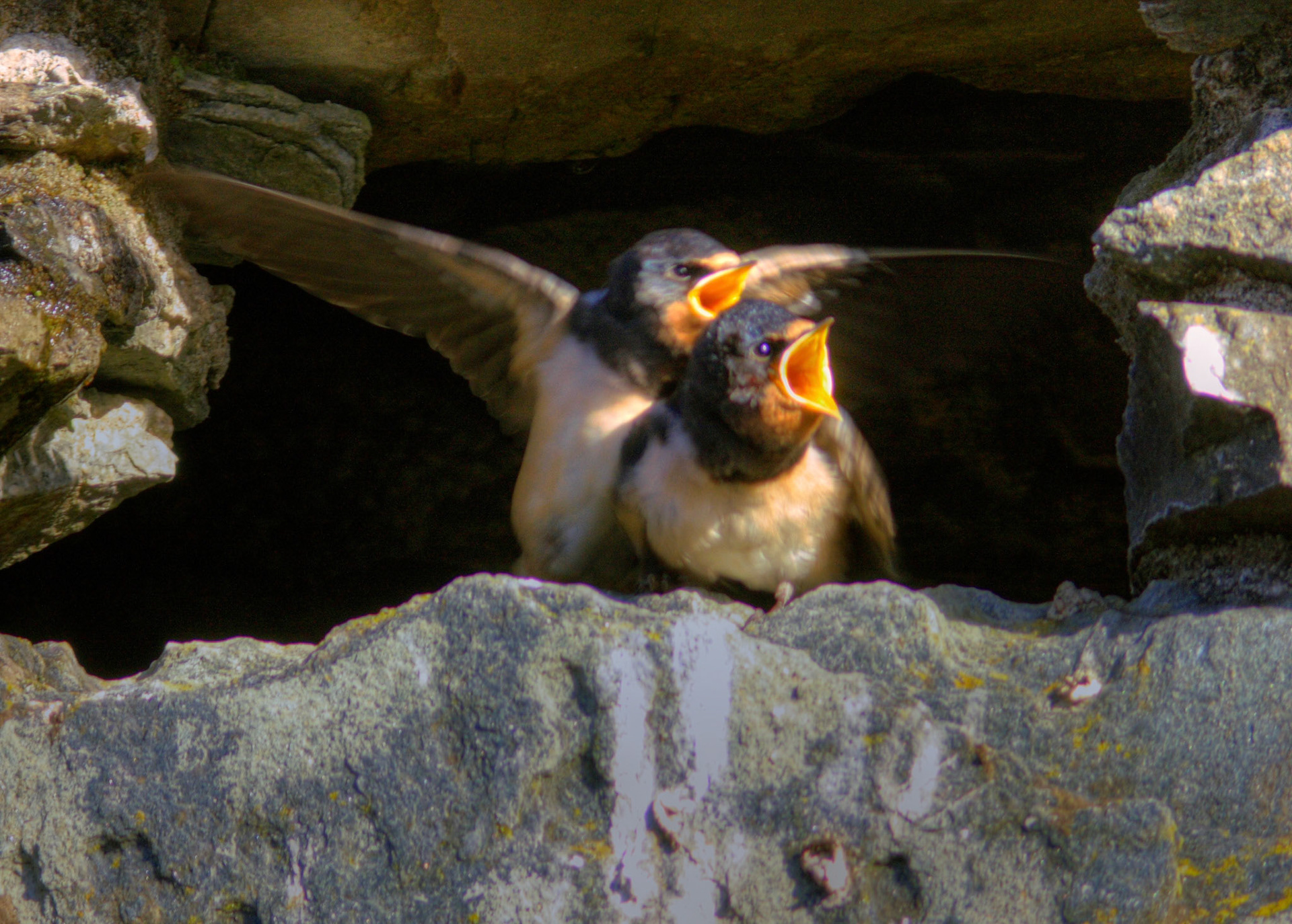 Kilchurn Castle Please see my other Photographs at: http://www.jamespdeans.co.uk/