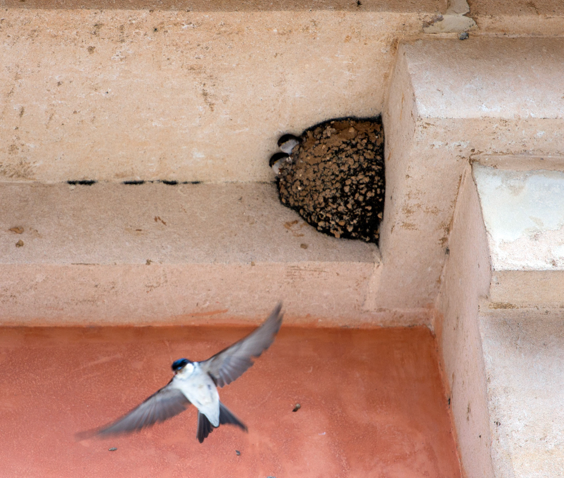 AlcudiaPlease see my other Photographs at: www.jamespdeans.co.uk