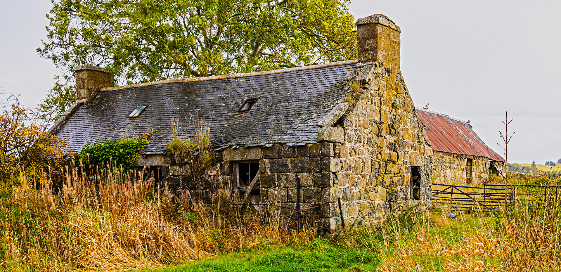 Autumn in Aberdeenshire 14 to 16 October 2022