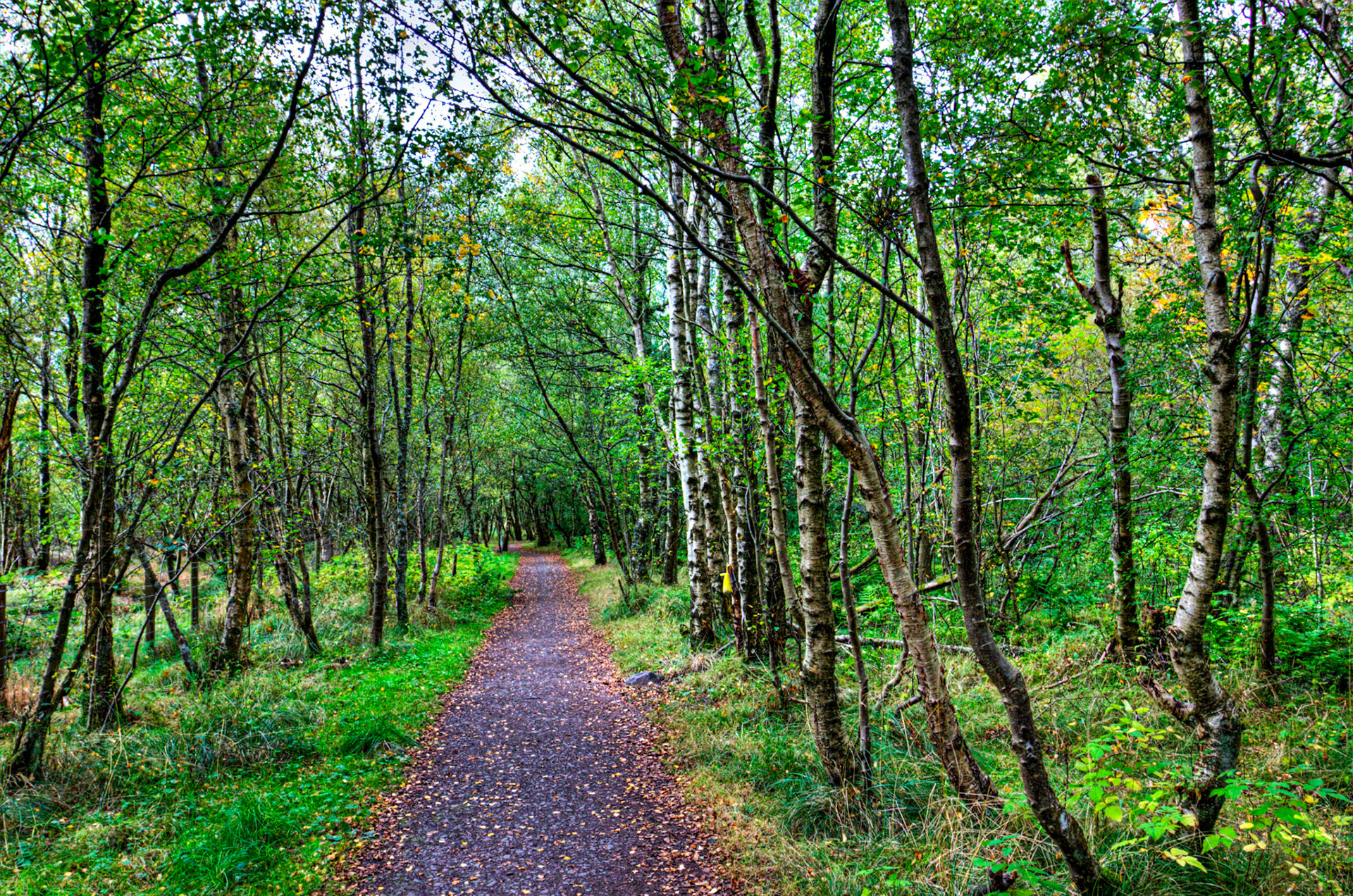 Bavelaw 24 Sept 2025