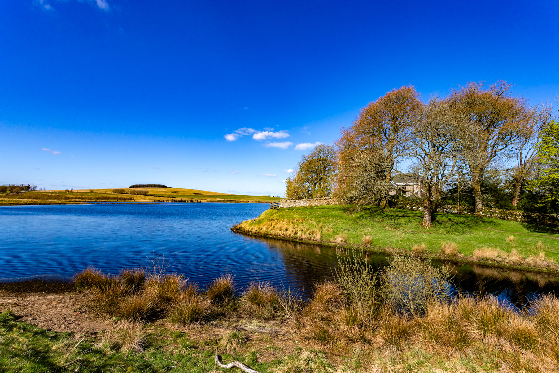 Harperrig 24 April 2024