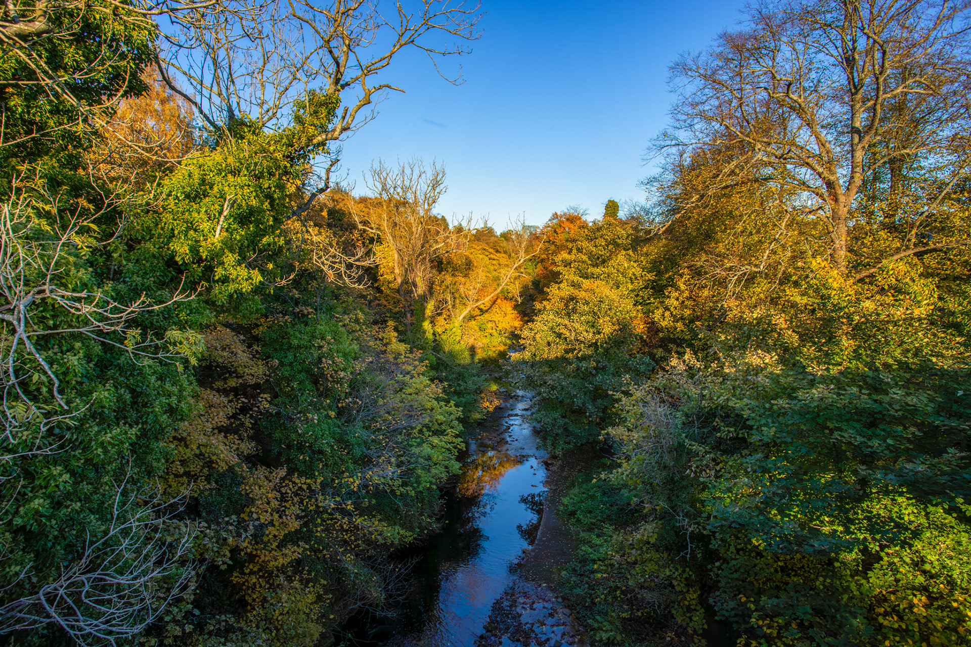 Water of Leith - Colinton 27 October 2025