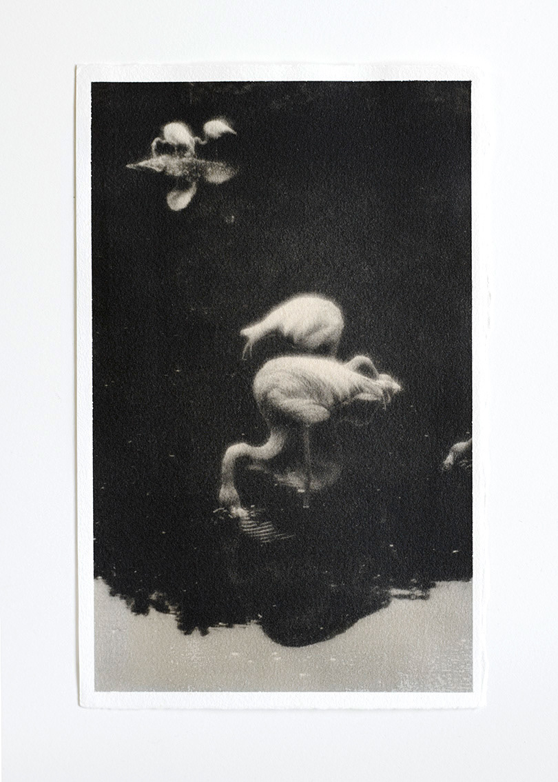 25cm x 16cm