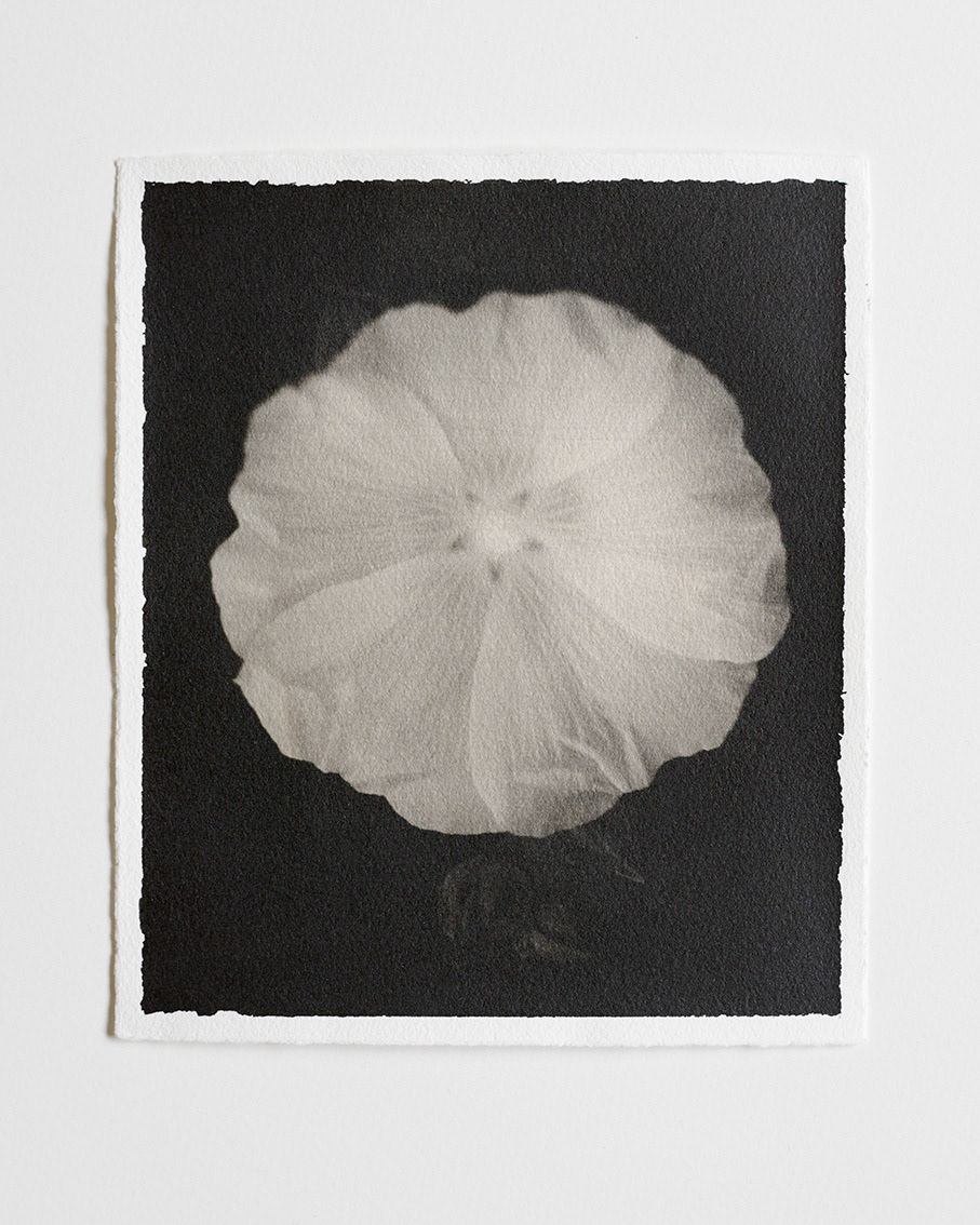 19cm x 16cm