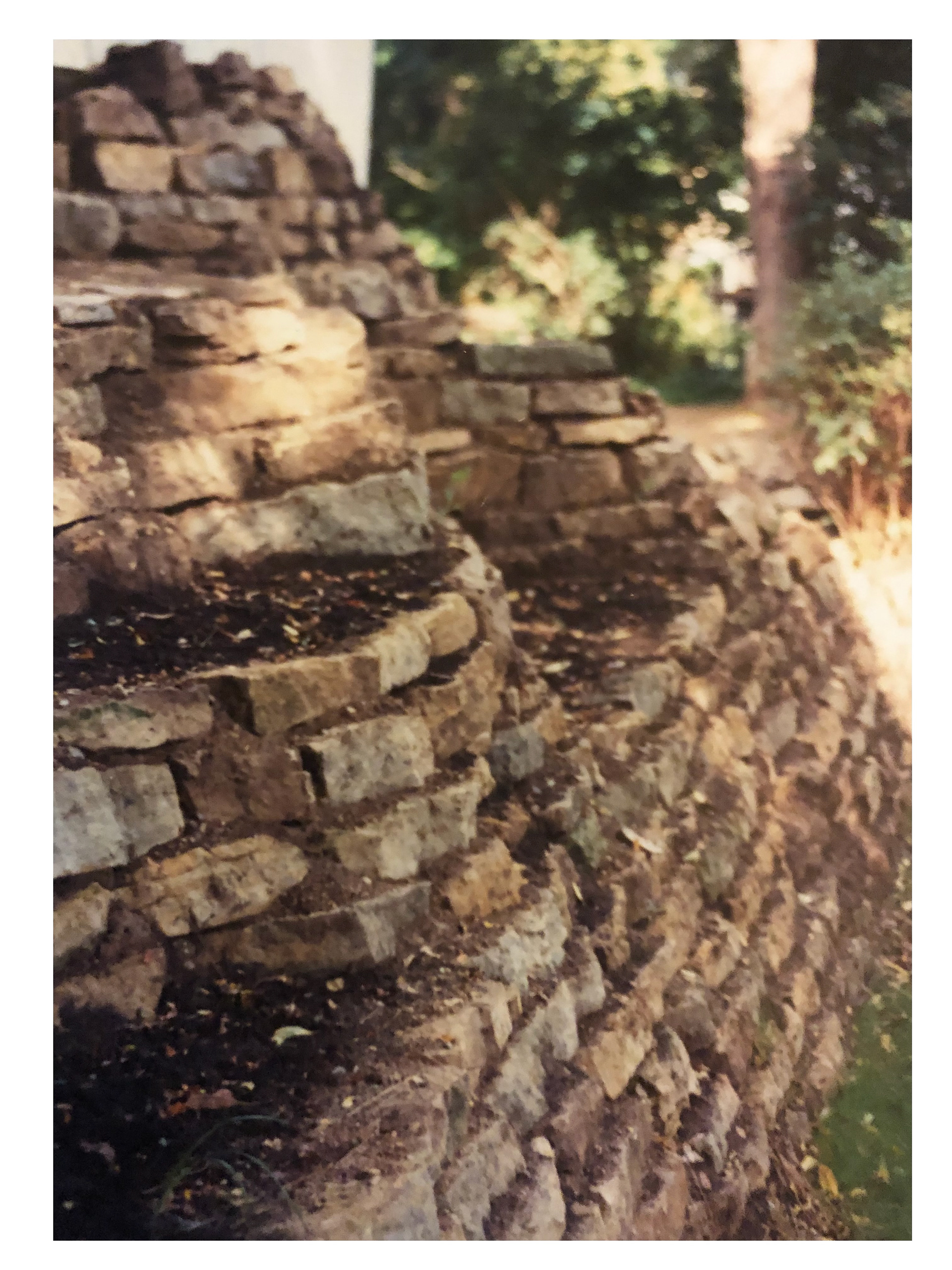 Narrow side yard with dramatic elevation change.