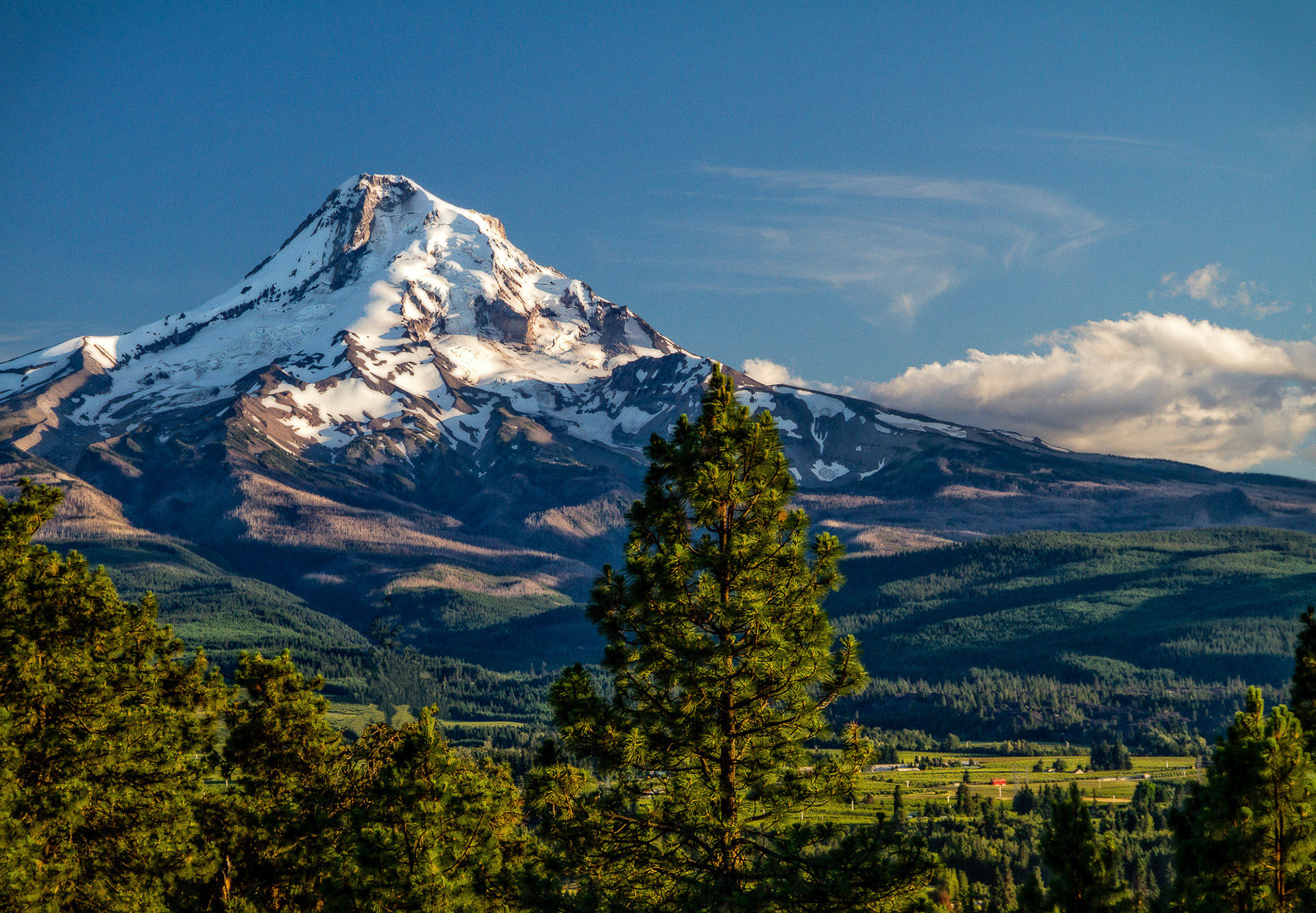 Eastern Face of Mt. Hood