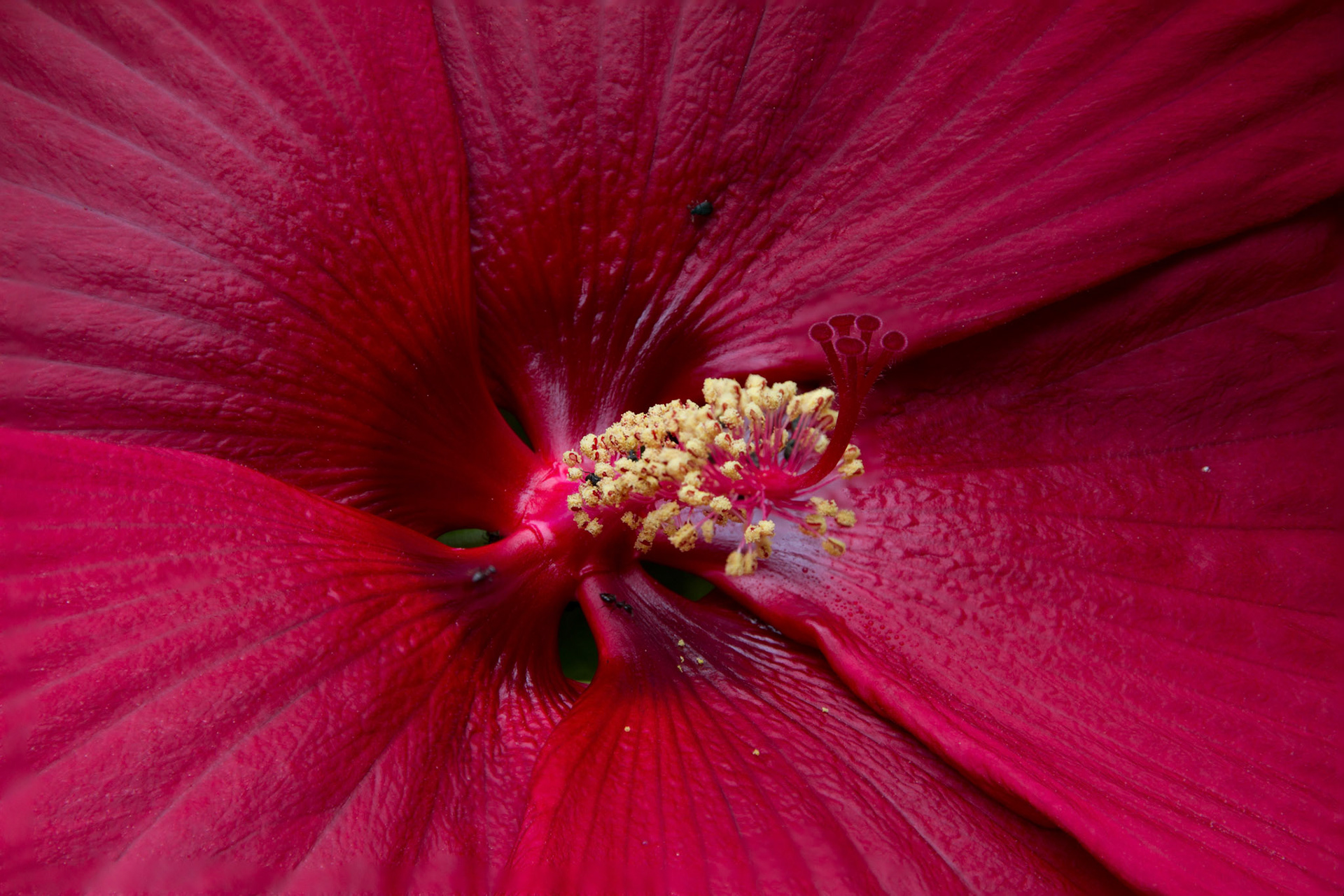 file in Georgia trip August 2015