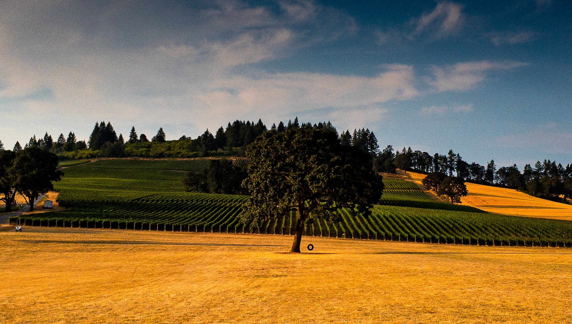 Stoller Estate, Dundee, OR