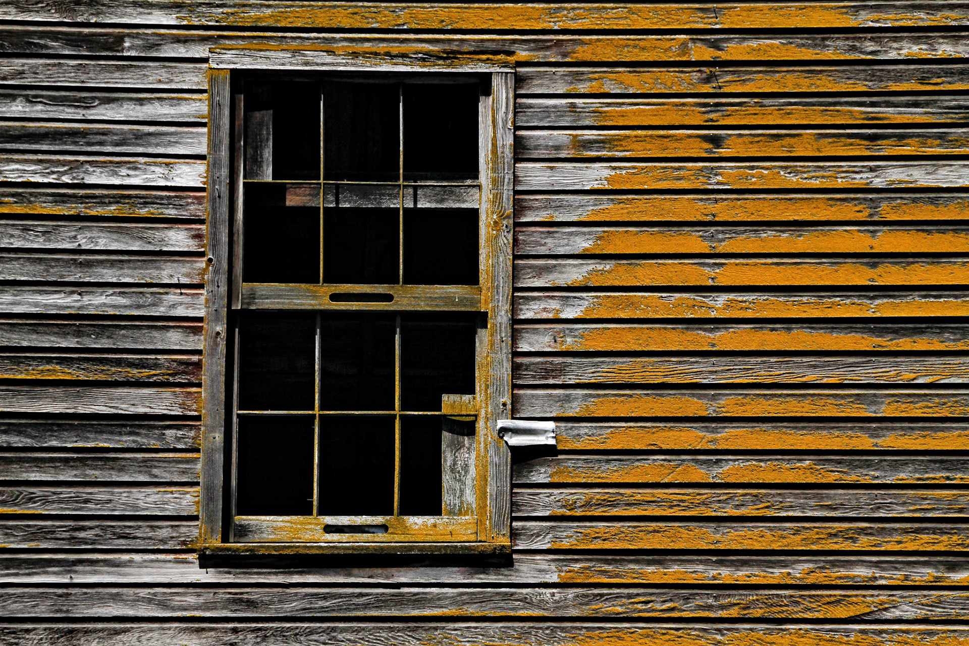 Weathered and Orange