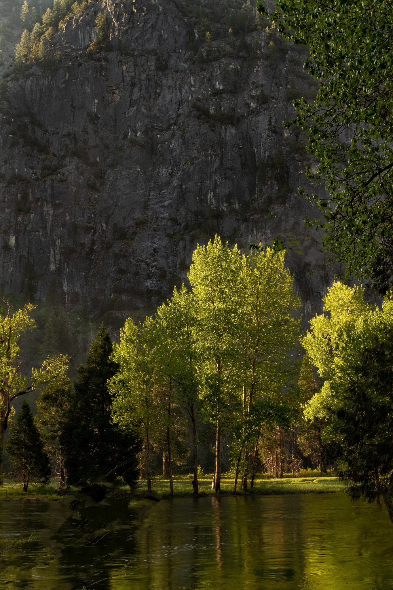 Morning Reflections, Yosemite, CA