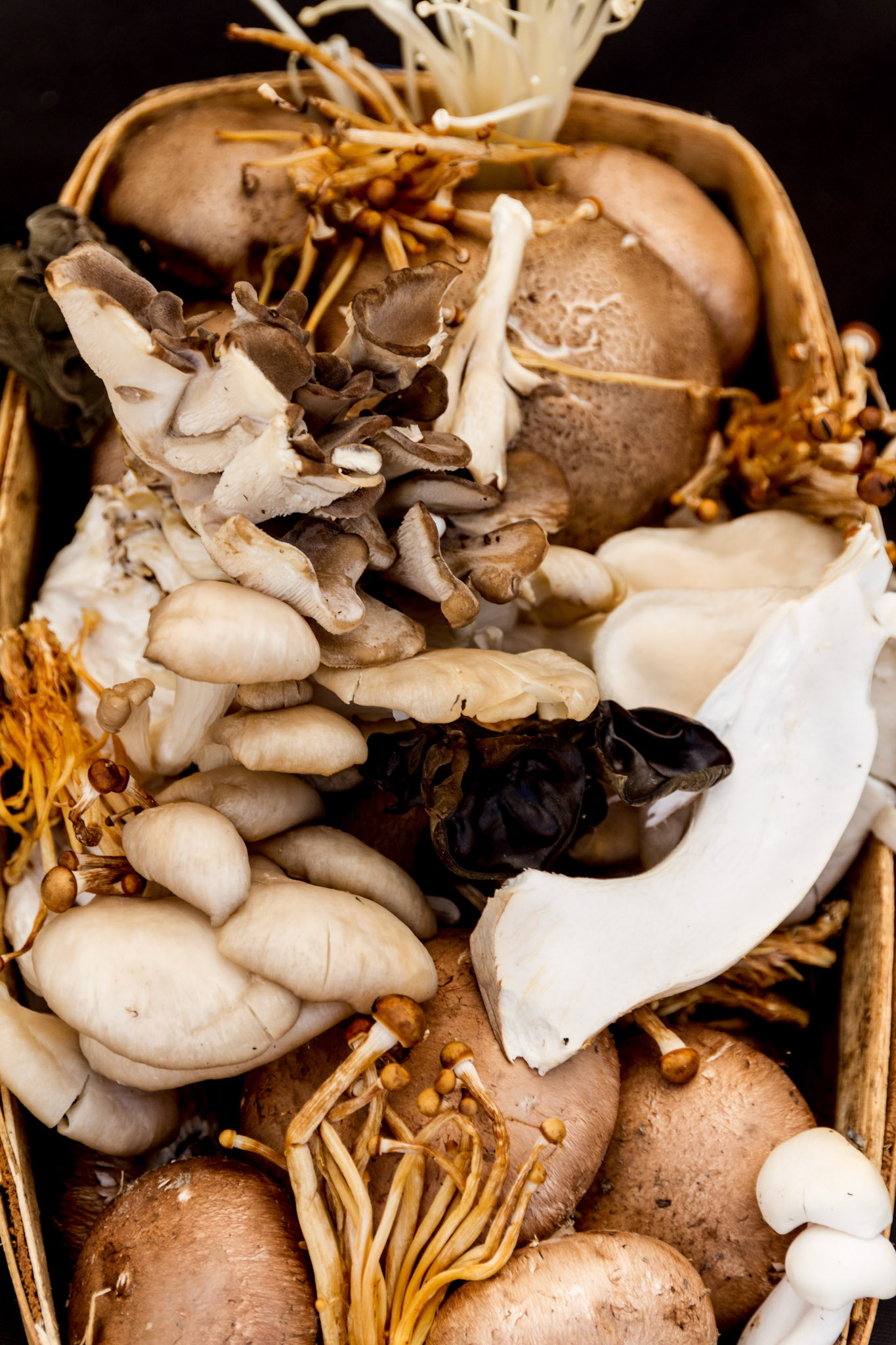 mushrooms, california, farmer's market, food