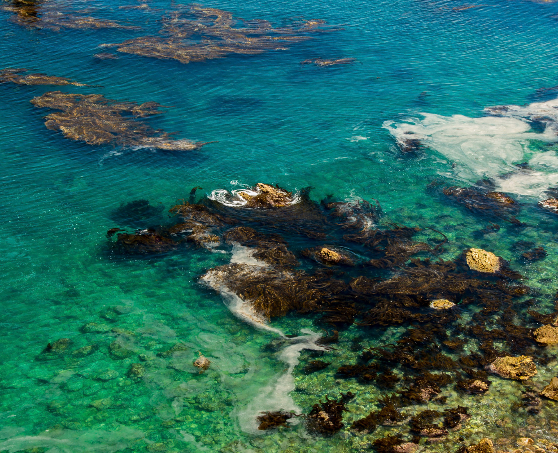 Ocean, Santa Cruz Is., CA