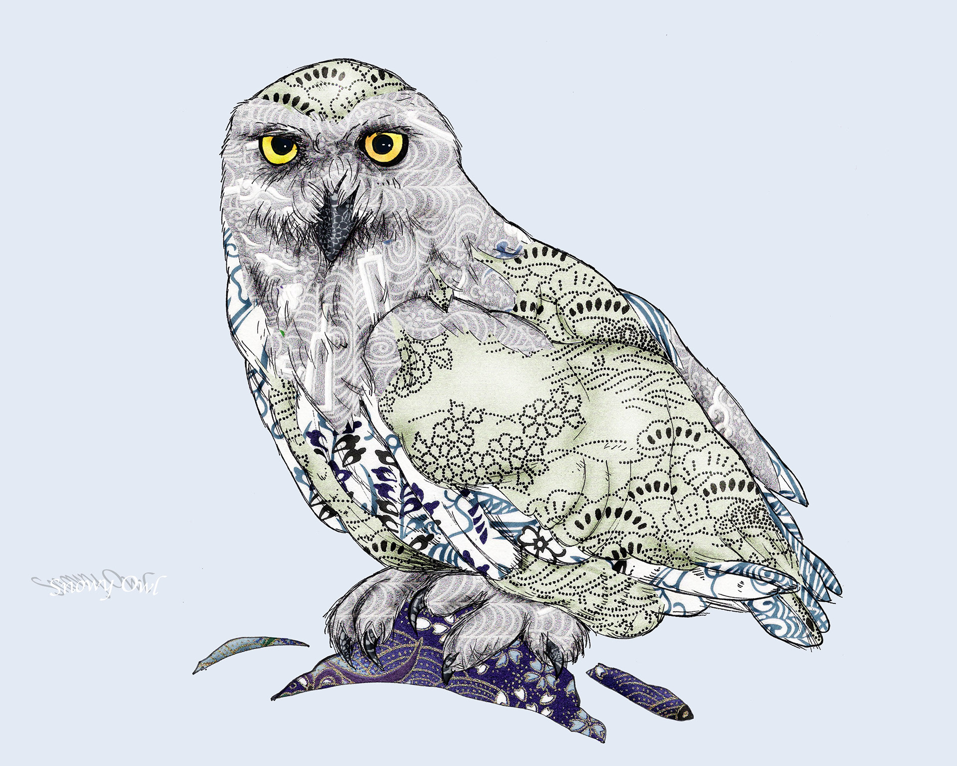 Snowy Owl