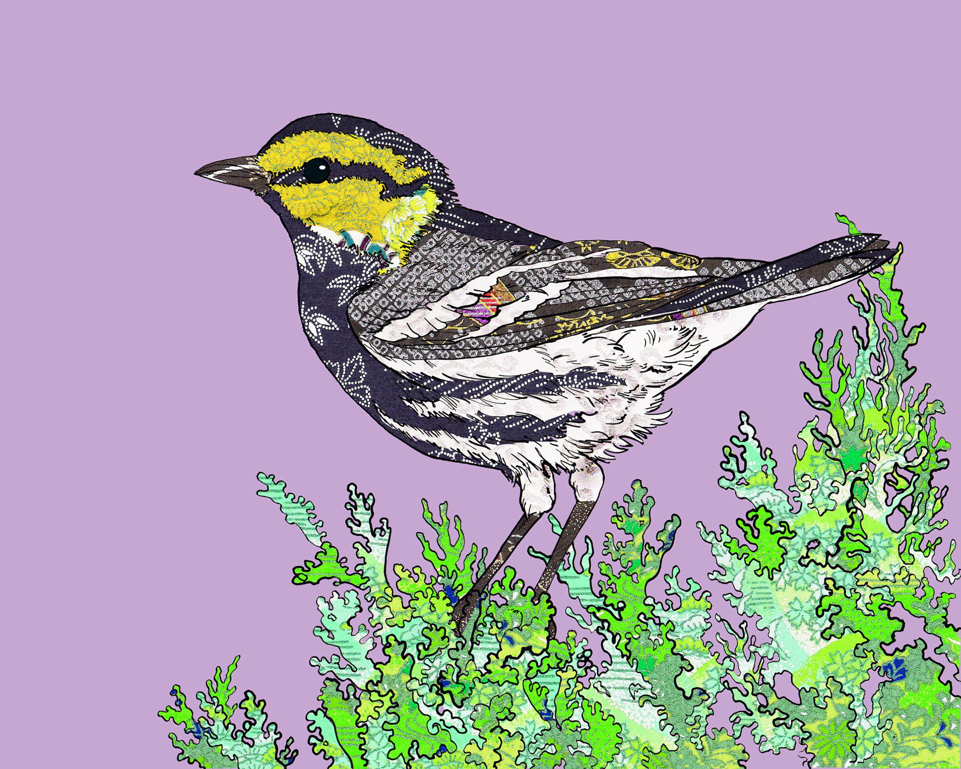 Golden Cheeked Warbler