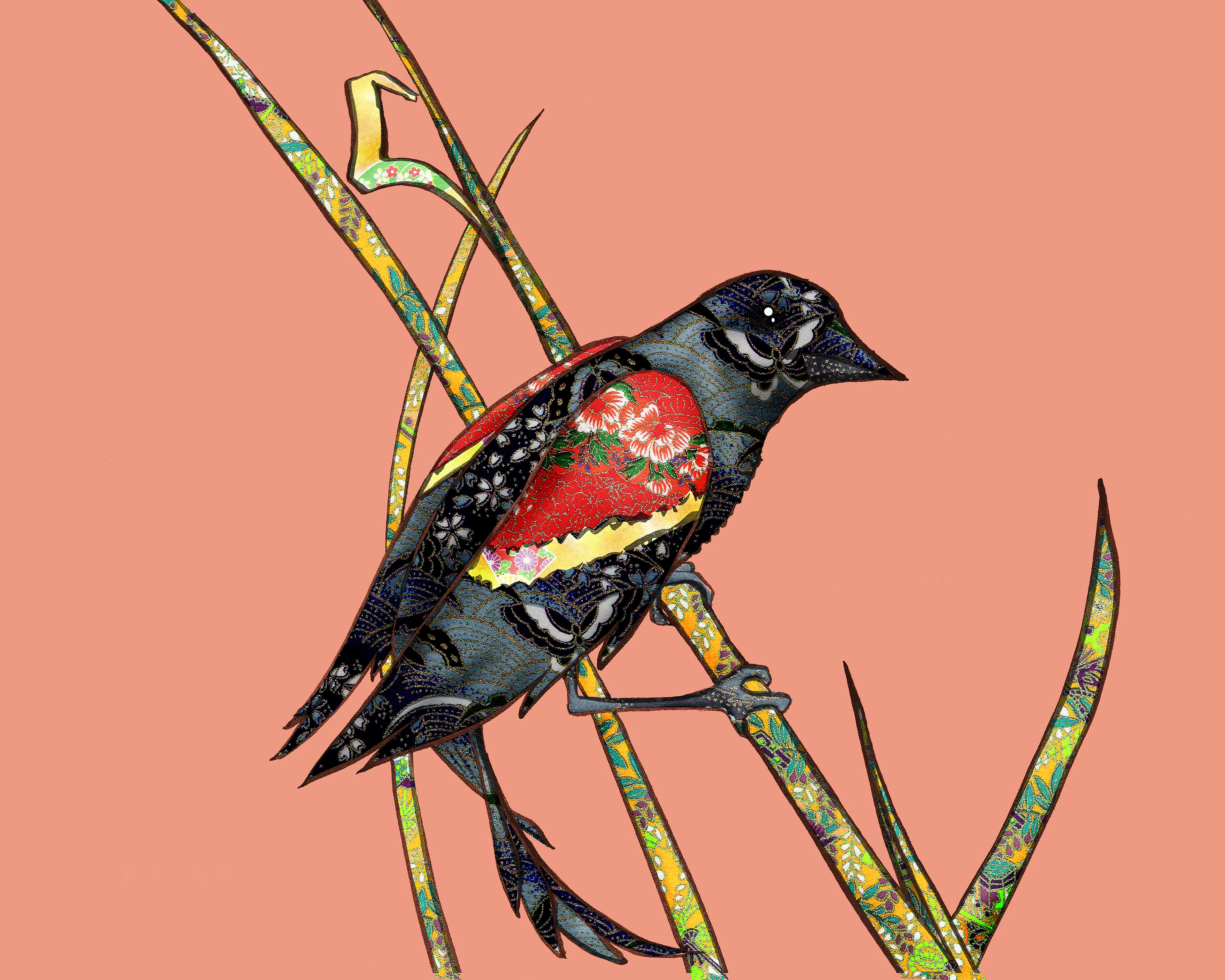 Red Wing Blackbird