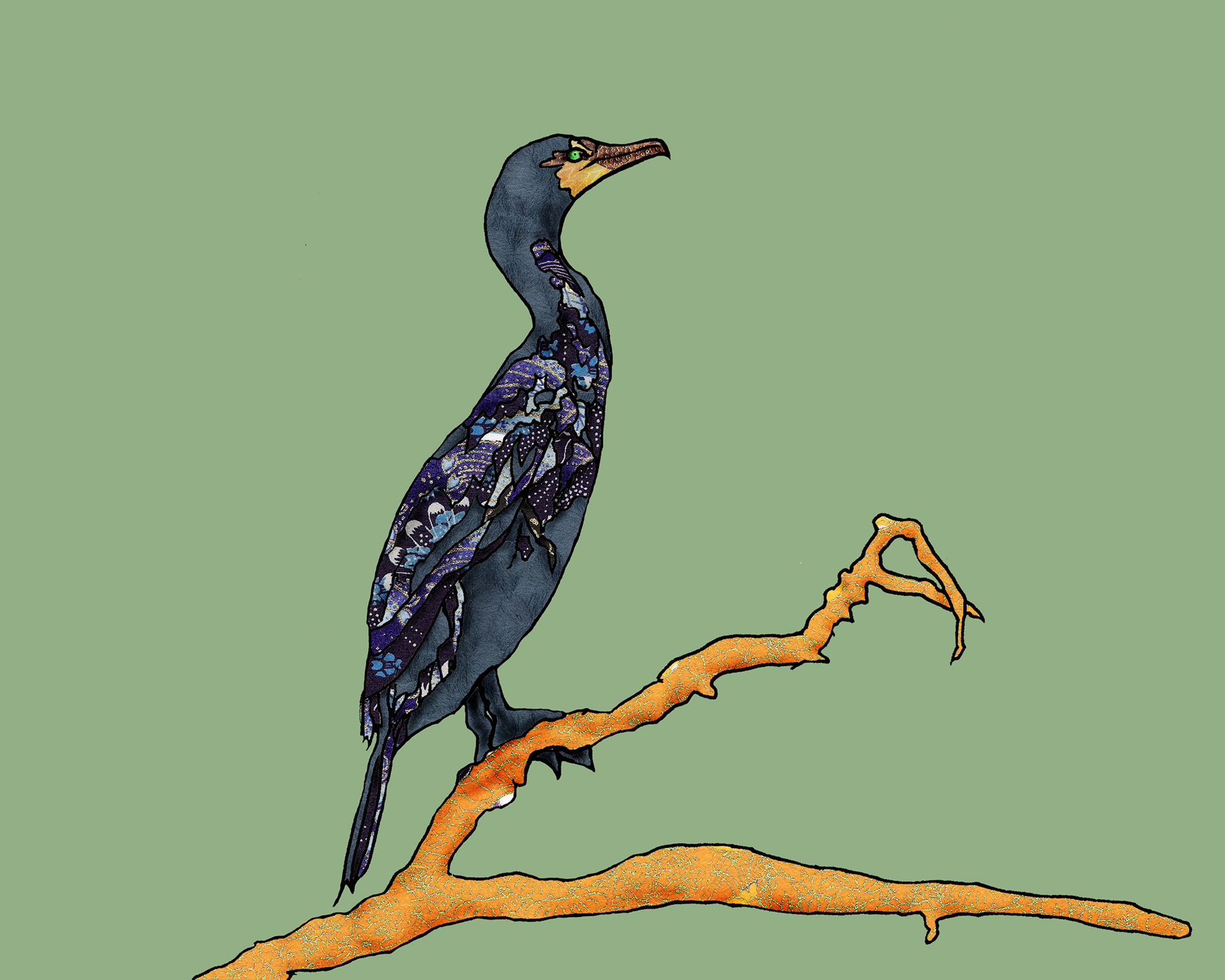 Double Crested Cormorant