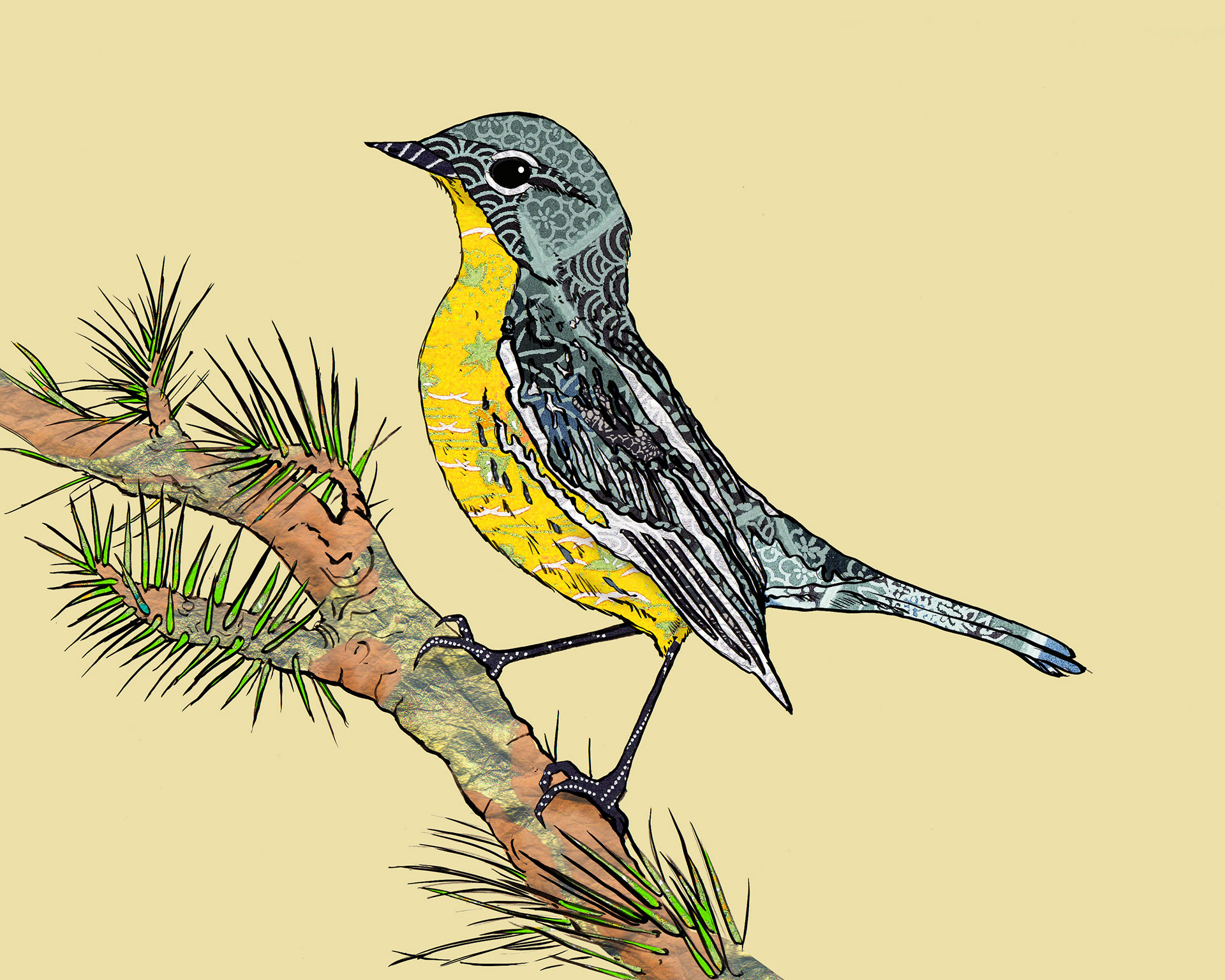 Kirtland's Warbler