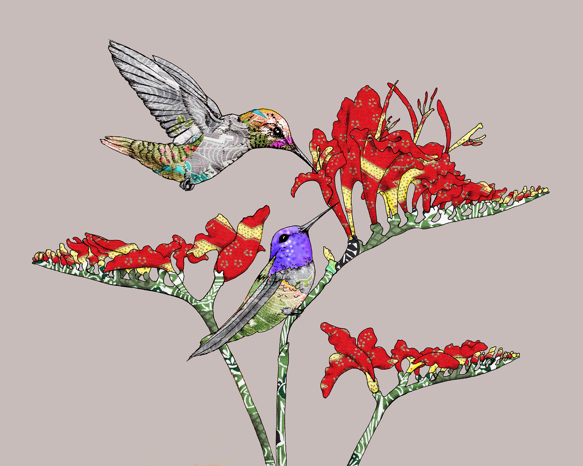 Anna's Hummingbirds